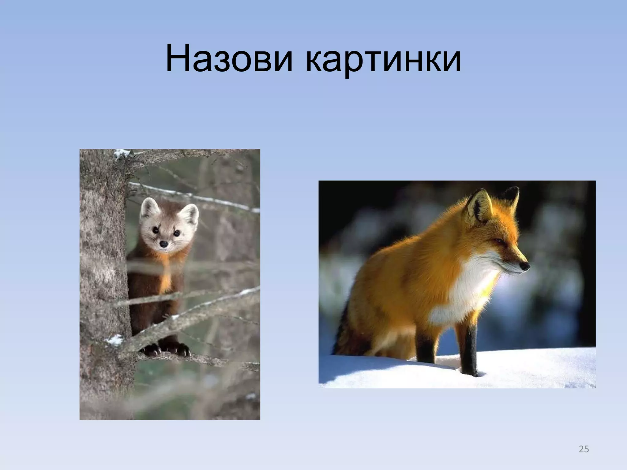 Назови картинки 