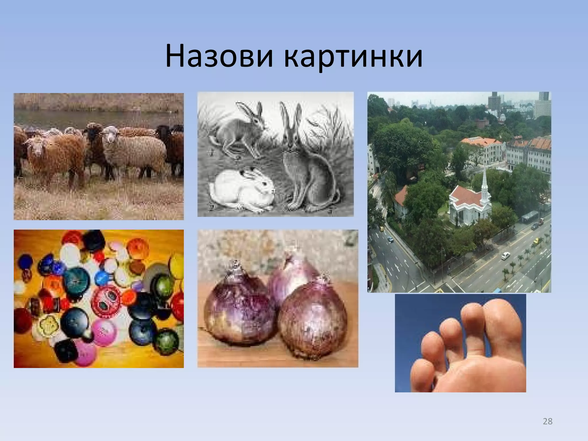 Назови картинки 