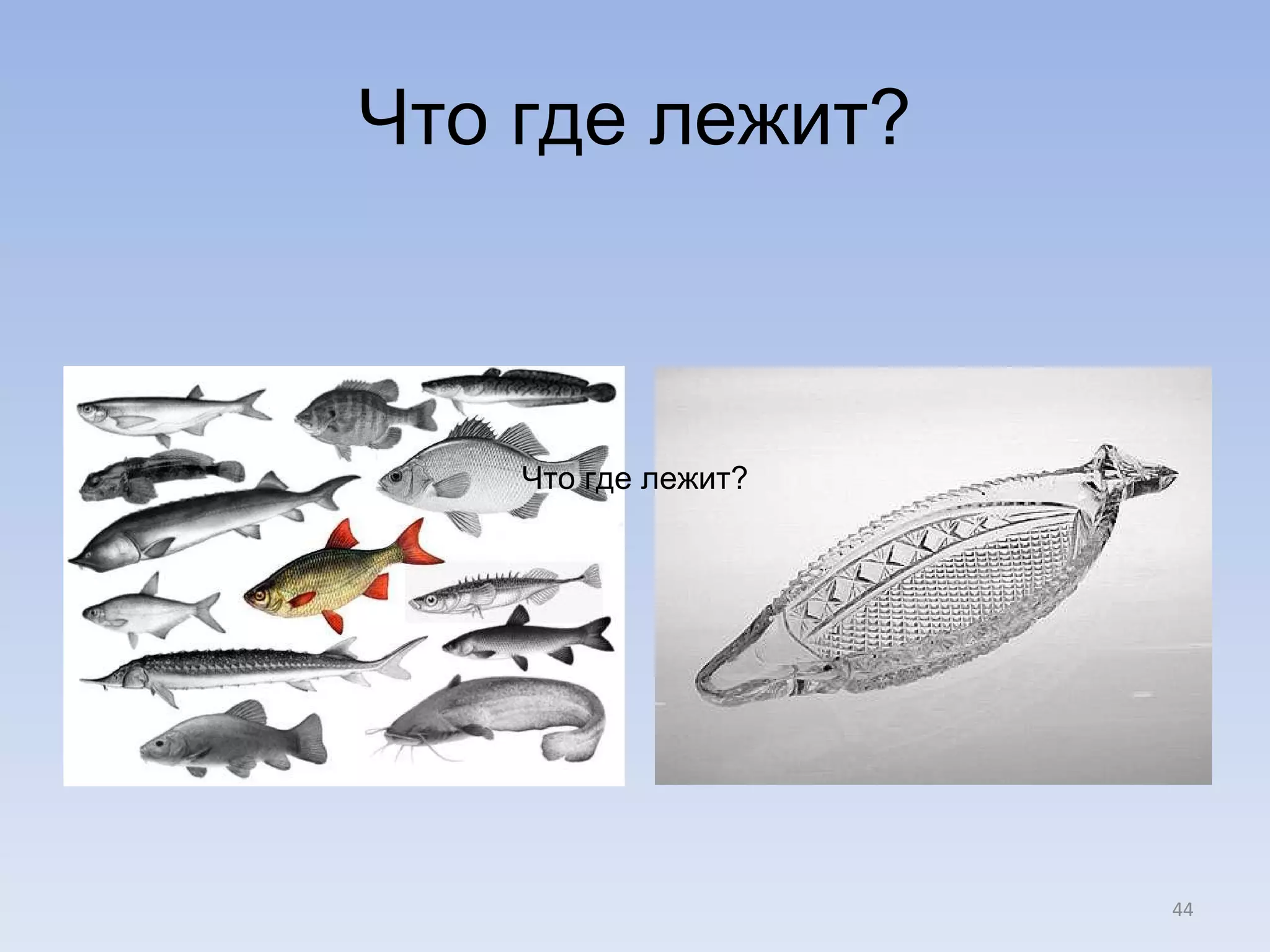 Что где лежит? Что где лежит? 
