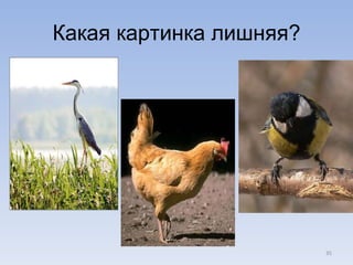 Какая картинка лишняя? 