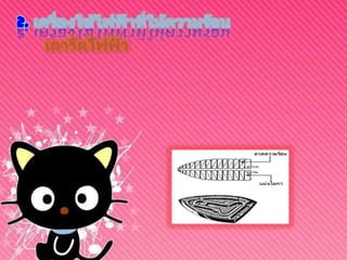 2. เครื่องใช้ไฟฟ้าที่ให้ความร้อน      เตารีดไฟฟ้า  เตารีดไฟฟ้าประกอบด้วยส่วนประกอบที่สำคัญ คือ แผ่นความร้อนเทอร์โมสตัท แผ่นขดลวดความร้อน แผ่นทับผ้า และปุ่มปรับความร้อนเตารีดไฟฟ้าใช้แผ่นขดลวดความร้อนทำด้วยลวดนิโครมแผ่น แบนๆ วางสับไปมาไม่ได้ทำเป็นขดลวดเหมือนเตาไฟฟ้า หรือ อาจที่เรียกว่า ไส้เตารีด ซึ่งจะสอดอยู่ภายในระหว่างไมก้า (Mica) 2 แผ่น ไมก้านี้เป็นวัตถุทนไฟและเป็นฉนวนด้วย 