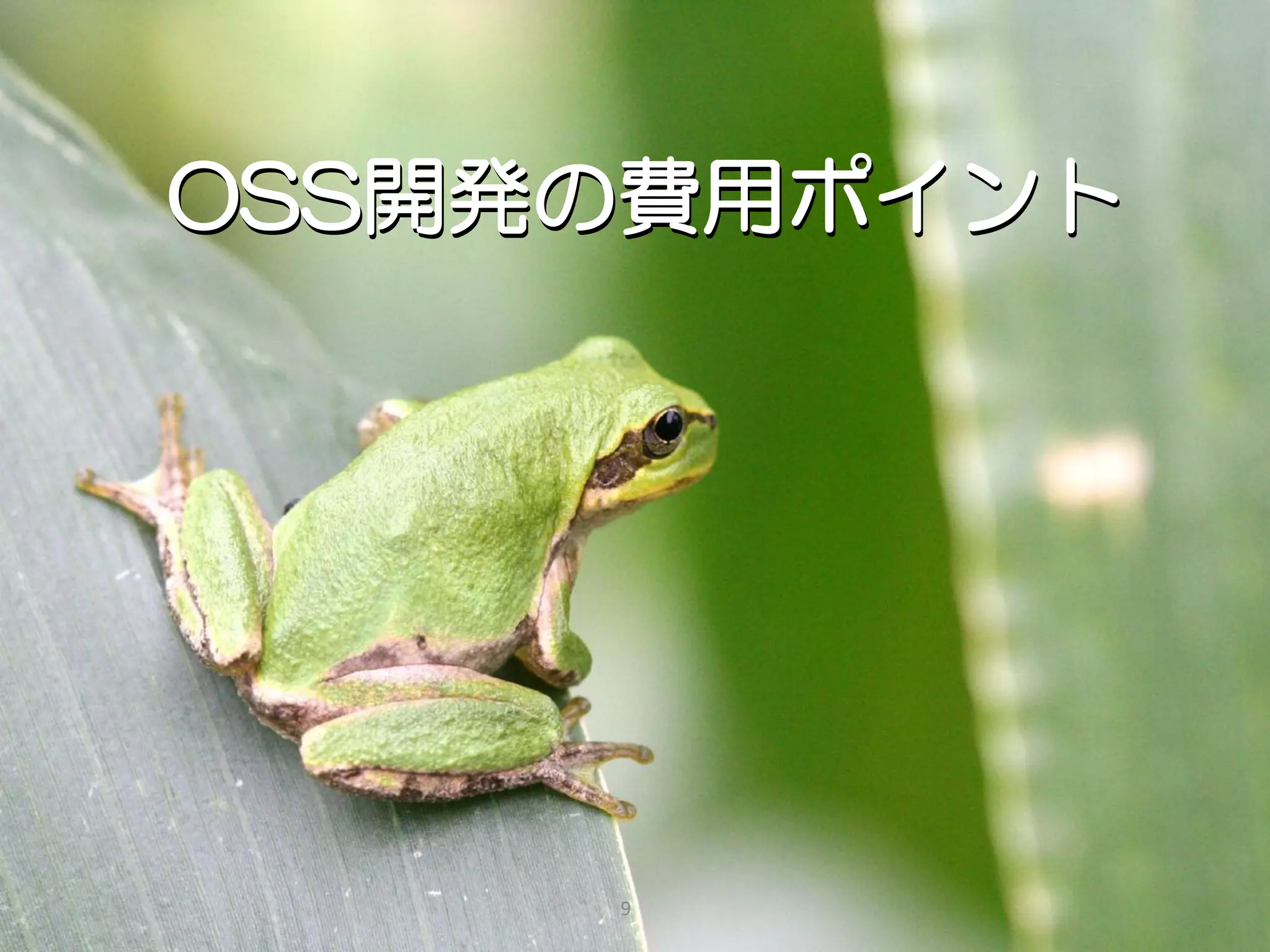 OSS開発の費用ポイント




     9
 