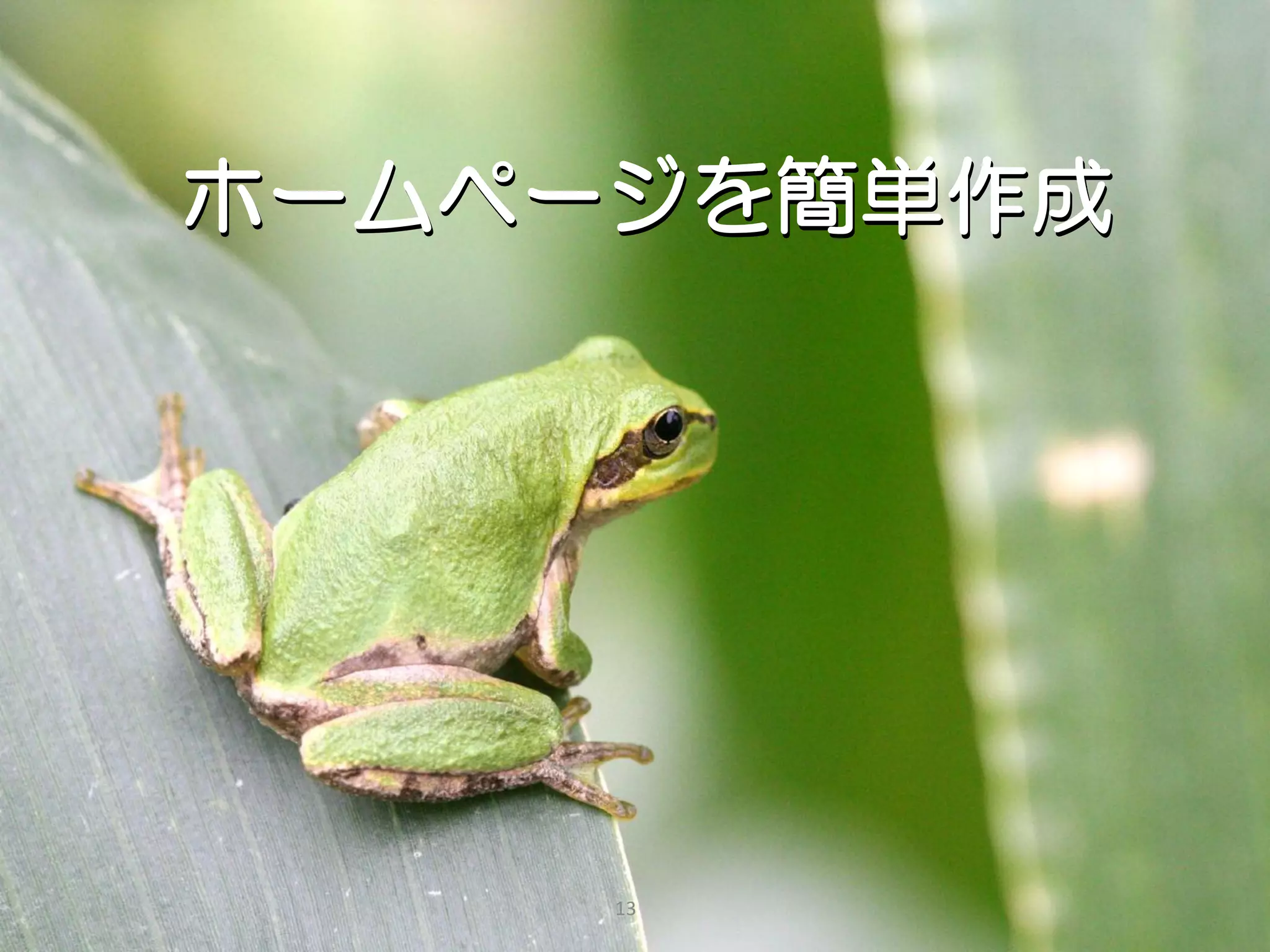 ホームページを簡単作成




     13
 