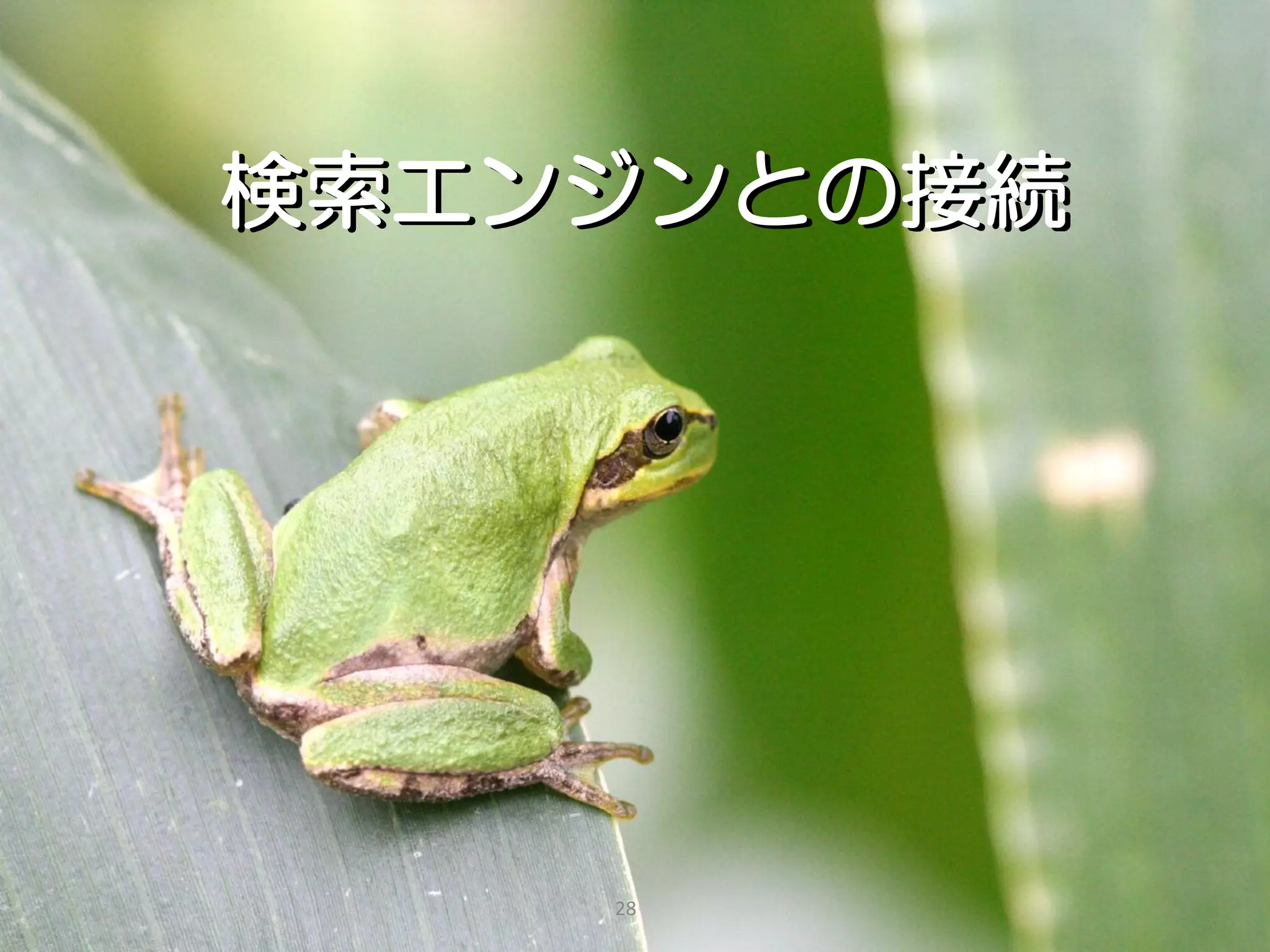 検索エンジンとの接続




    28
 