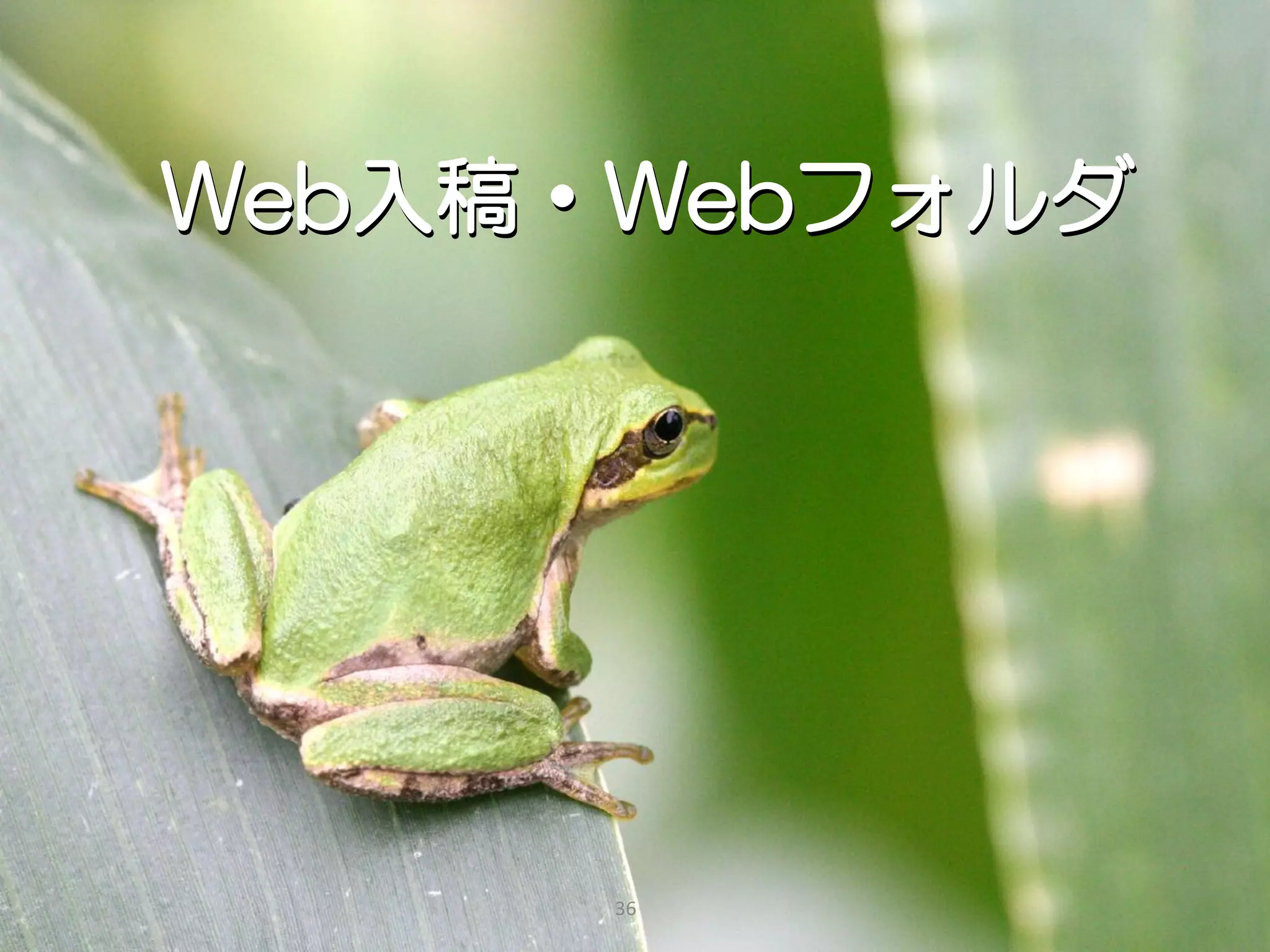 Web入稿・Webフォルダ




      36
 