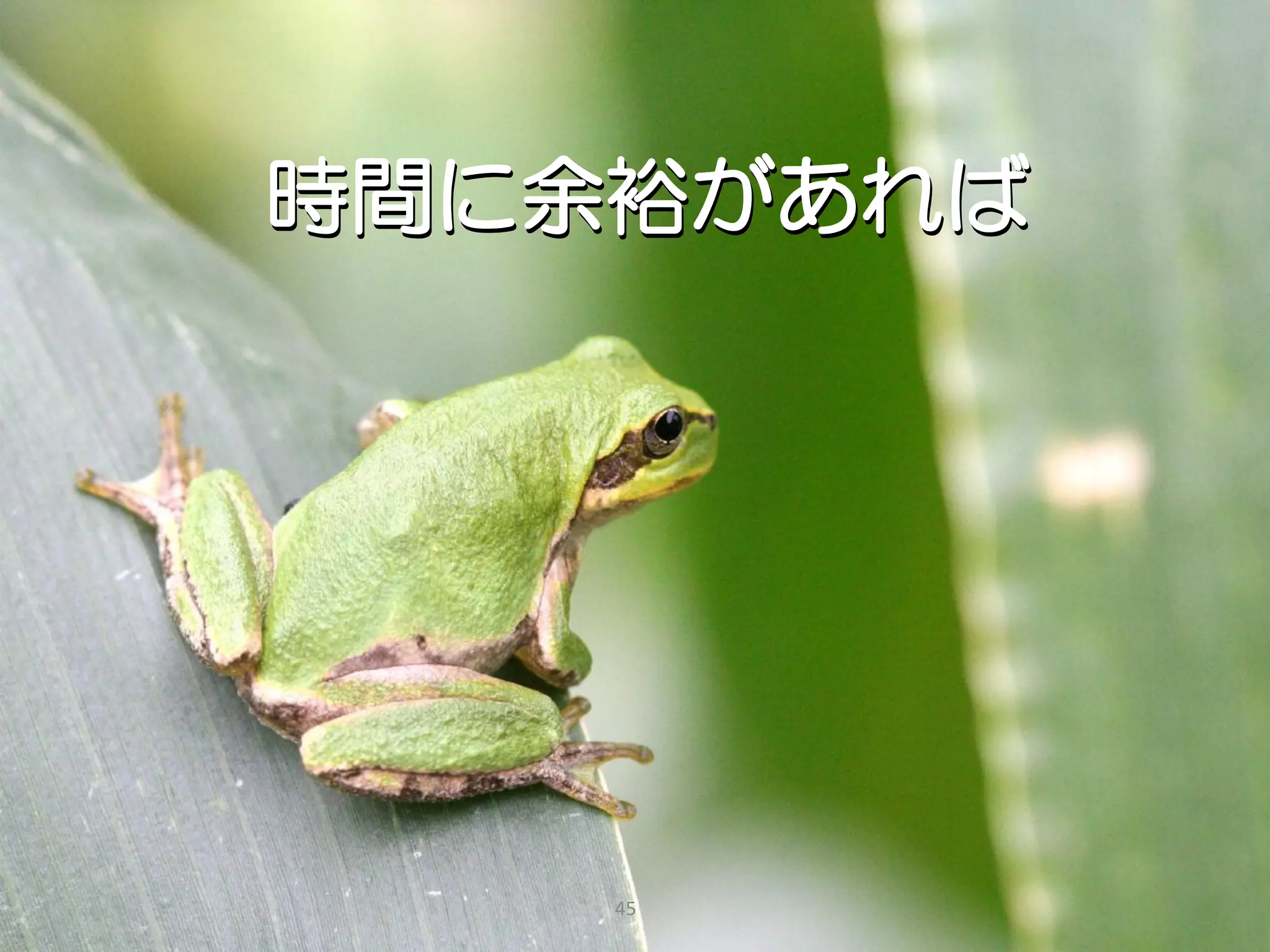 時間に余裕があれば




    45
 