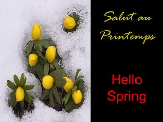 Salut au Printemps Hello Spring 