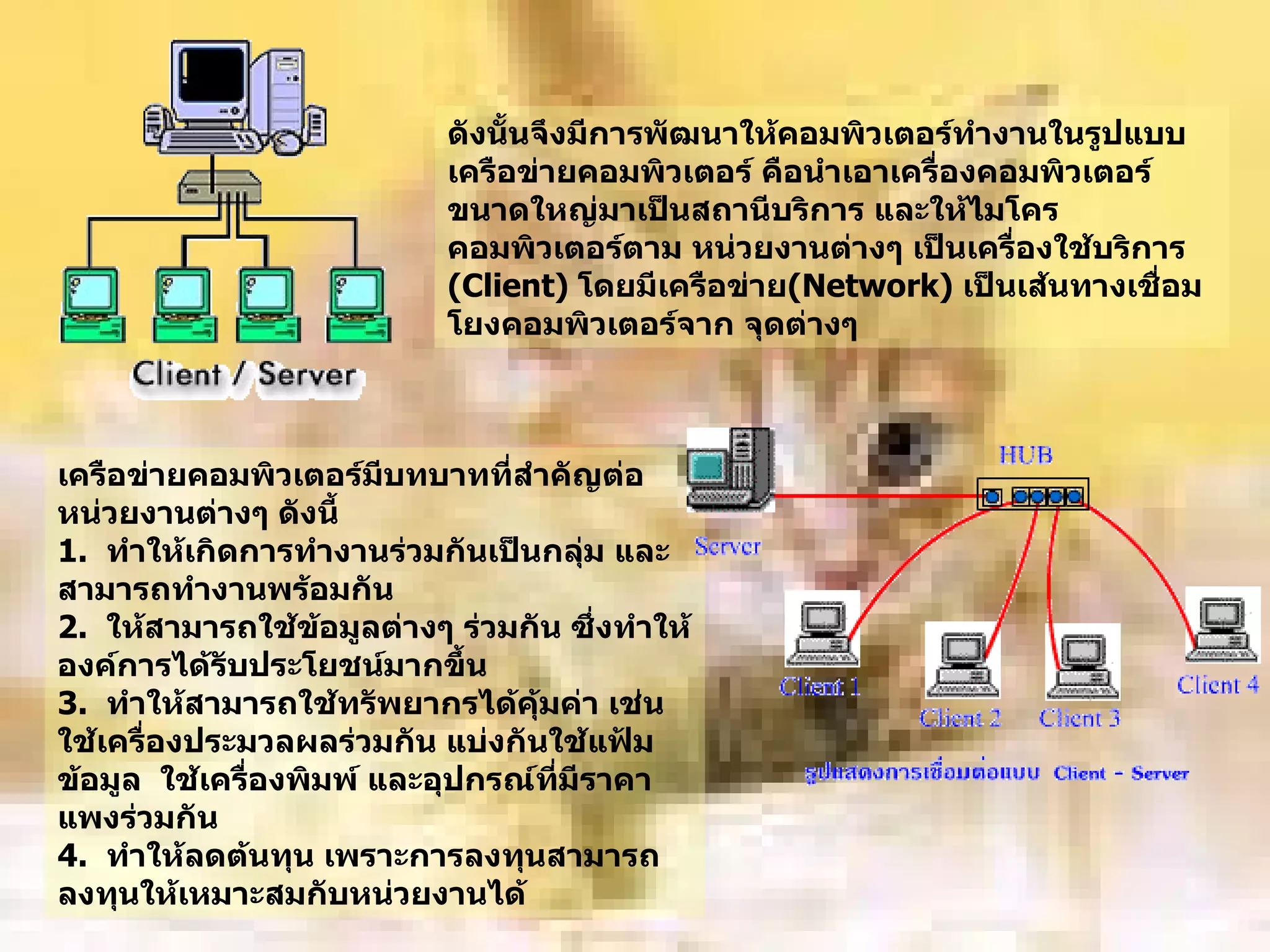 ดังนั้นจึงมีการพัฒนาให้คอมพิวเตอร์ทำงานในรูปแบบ    เครือข่ายคอมพิวเตอร์ คือนำเอาเครื่องคอมพิวเตอร์ ขนาดใหญ่มาเป็นสถานีบริการ   และให้ไมโครคอมพิวเตอร์ตาม หน่วยงานต่างๆ เป็นเครื่องใช้บริการ  ( Client)  โดยมีเครือข่าย ( Network)  เป็นเส้นทางเชื่อมโยงคอมพิวเตอร์จาก จุดต่างๆ     เครือข่ายคอมพิวเตอร์มีบทบาทที่สำคัญต่อหน่วยงานต่างๆ ดังนี้ 1.   ทำให้เกิดการทำงานร่วมกันเป็นกลุ่ม และสามารถทำงานพร้อมกัน 2.   ให้สามารถใช้ข้อมูลต่างๆ ร่วมกัน ซึ่งทำให้องค์การได้รับประโยชน์มากขึ้น 3.   ทำให้สามารถใช้ทรัพยากรได้คุ้มค่า เช่น ใช้เครื่องประมวลผลร่วมกัน แบ่งกันใช้แฟ้มข้อมูล  ใช้เครื่องพิมพ์ และอุปกรณ์ที่มีราคาแพงร่วมกัน 4.   ทำให้ลดต้นทุน เพราะการลงทุนสามารถลงทุนให้เหมาะสมกับหน่วยงานได้   
