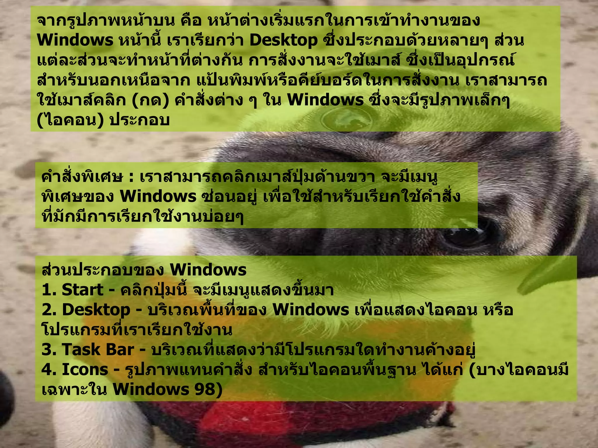 จากรูปภาพหน้าบน คือ หน้าต่างเริ่มแรกในการเข้าทำงานของ   Windows  หน้านี้ เราเรียกว่า  Desktop  ซึ่งประกอบด้วยหลายๆ ส่วน แต่ละส่วนจะทำหน้าที่ต่างกัน การสั่งงานจะใช้เมาส์ ซึ่งเป็นอุปกรณ์สำหรับนอกเหนือจาก แป้นพิมพ์หรือคีย์บอร์ดในการสั่งงาน เราสามารถใช้เมาส์คลิก  ( กด )  คำสั่งต่าง ๆ ใน  Windows  ซึ่งจะมีรูปภาพเล็กๆ  ( ไอคอน )  ประกอบ  คำสั่งพิเศษ  :  เราสามารถคลิกเมาส์ปุ่มด้านขวา จะมีเมนูพิเศษของ   Windows  ซ่อนอยู่ เพื่อใช้สำหรับเรียกใช้คำสั่งที่มักมีการเรียกใช้งานบ่อยๆ   ส่วนประกอบของ  Windows  1. Start -  คลิกปุ่มนี้ จะมีเมนูแสดงขึ้นมา   2. Desktop -  บริเวณพื้นที่ของ  Windows  เพื่อแสดงไอคอน หรือโปรแกรมที่เราเรียกใช้งาน   3. Task Bar -  บริเวณที่แสดงว่ามีโปรแกรมใดทำงานค้างอยู่   4. Icons -  รูปภาพแทนคำสั่ง สำหรับไอคอนพื้นฐาน ได้แก่  ( บางไอคอนมีเฉพาะใน  Windows 98)  