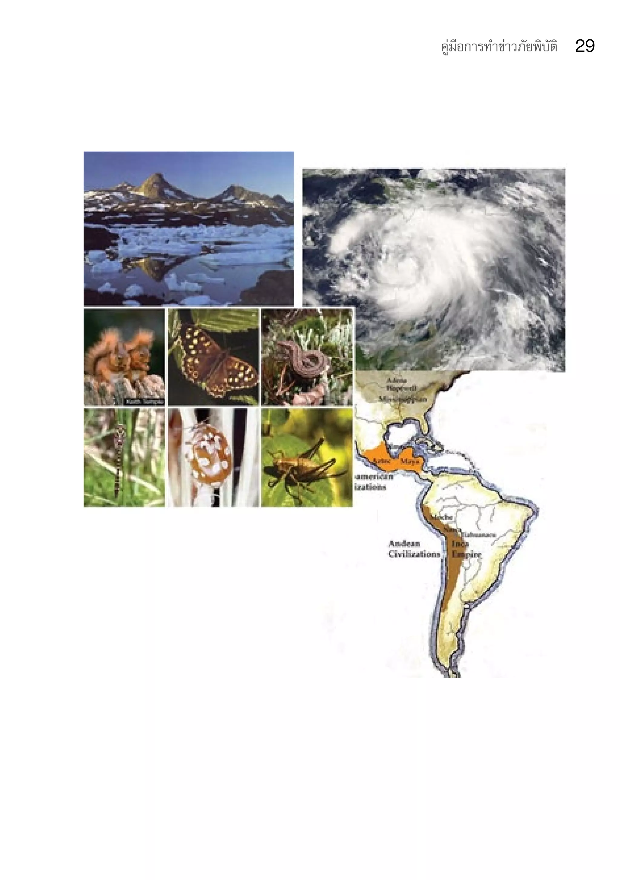 คู่มือการทำาข่าวภัยพิบัติ   29
 