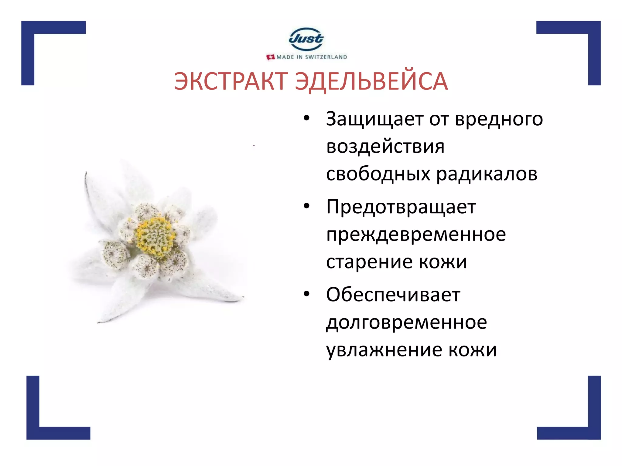 ЭКСТРАКТ ЭДЕЛЬВЕЙСА Защищает от вредного воздействия свободных радикалов Предотвращает преждевременное старение кожи Обеспечивает долговременное увлажнение кожи 