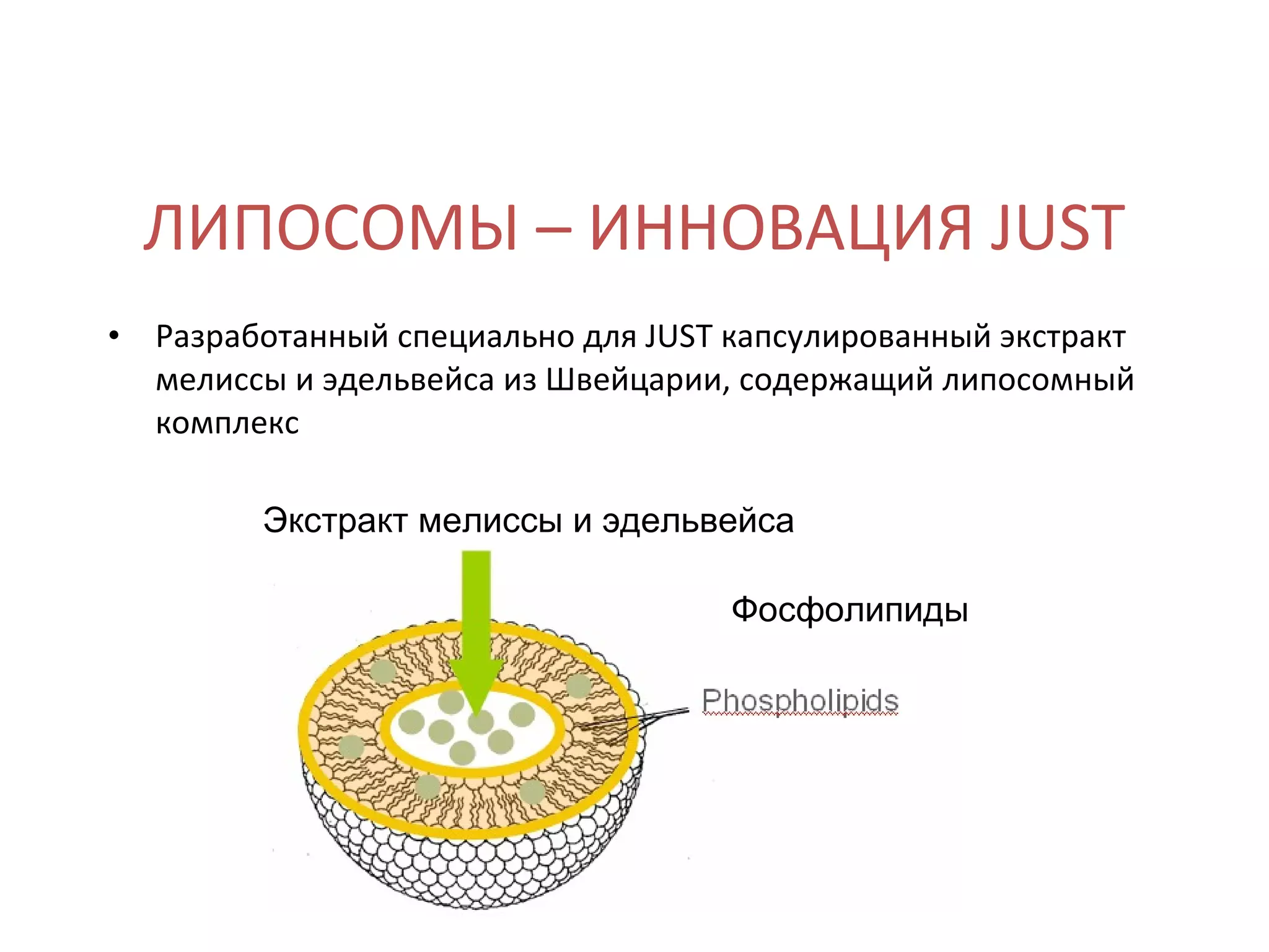 ЛИПОСОМЫ – ИННОВАЦИЯ JUST Разработанный специально для JUST капсулированный экстракт мелиссы и эдельвейса из Швейцарии, содержащий липосомный комплекс Экстракт мелиссы и эдельвейса Фосфолипиды 