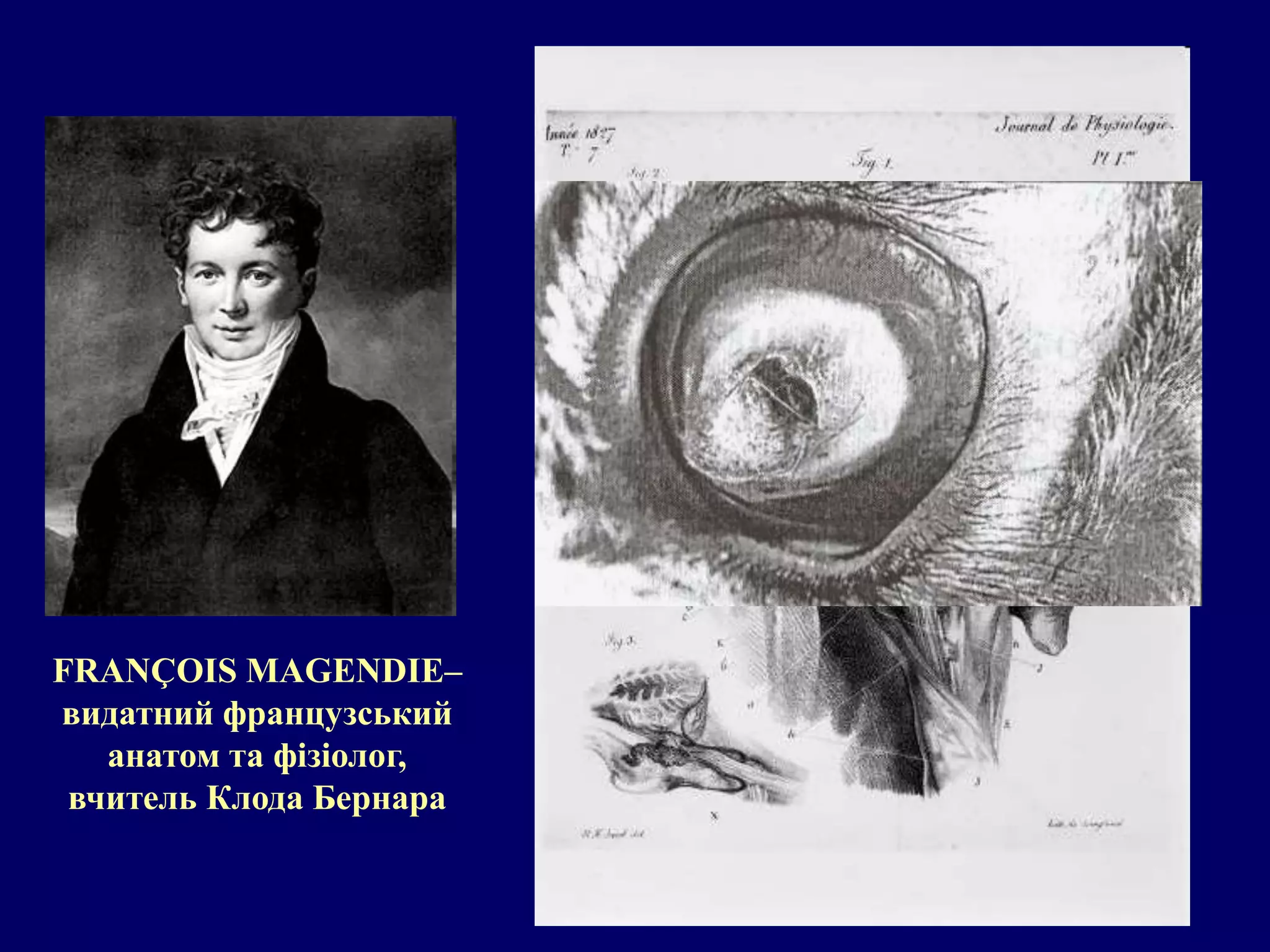 FRANÇOIS MAGENDIE– 
видатний французський 
анатом та фізіолог, 
вчитель Клода Бернара 
 
