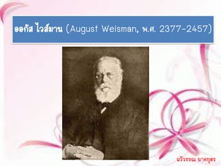 ออกัส ไวส์มาน (August Weisman, พ.ศ. 2377-2457)




                                     ฉวีวรรณ นาคบุตร
 
