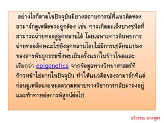 อย่างไรก็ตามในปัจจุบันมีบางสถานการณ์ที่แนวคิดของ
ลามาร์กดูเหมือนจะถูกต้อง เช่น การเกิดมะเร็งบางชนิดที่
สามารถถ่ายทอดสู่ลูกหลานได้ โดยเฉพาะการค้นพบการ
ถ่ายทอดลักษณะไปยังลูกหลานโดยไม่มีการเปลี่ยนแปลง
ของสารพันธุกรรมซึ่งพบเป็นครั้งแรกในข้าวโพดและ
เรียกว่า epigenetics จากข้อมูลทางวิทยาศาสตร์ที่
ก้าวหน้าไปมากในปัจจุบัน ทาให้แนวคิดของลามาร์กที่แต่
ก่อนดูเหมือนจะหมดความหมายทางวิชาการกลับมาคงอยู่
และท้าทายต่อการพิสูจน์ต่อไป

                                               ฉวีวรรณ นาคบุตร
 