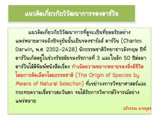 แนวคิดเกี่ยวกับวิวัฒนาการของดาร์วน
                                     ิ
       แนวคิดเกี่ยวกับวิวัฒนาการที่ดูจะเป็นที่ยอมรับอย่าง
แพร่หลายมาจนถึงปัจจุบันนั้นเป็นของชาร์ลส์ ดาร์วิน (Charles
Darwin, พ.ศ. 2352-2428) นักธรรมชาติวิทยาชาวอังกฤษ ปีที่
ดาร์วินเกิดอยูในช่วงรัชสมัยของรัชกาลที่ 3 และในอีก 50 ปีต่อมา
               ่
ดาร์วินได้ตีพิมพ์หนังสือเรื่อง กาเนิดความหลากหลายของสิ่งมีชีวิต
โดยการคัดเลือกโดยธรรมชาติ (The Origin of Species by
Means of Natural Selection) ที่เขย่าวงการวิทยาศาสตร์และ
กระทบความเชื่อชาวตะวันตก จนได้รับการวิพากษ์วิจารณ์อย่าง
แพร่หลาย
                                                   ฉวีวรรณ นาคบุตร
 