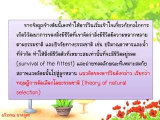 จากข้อมูลข้างต้นนี้เองทาให้ดาร์วินเริ่มเข้าใจเกี่ยวกับกลไกการ
       เกิดวิวัฒนาการของสิ่งมีชีวิตที่เขาคิดว่าสิ่งมีชีวิตมีความหลากหลาย
       ตามธรรมชาติ และปัจจัยทางธรรมชาติ เช่น ปริมาณอาหารและน้า
       ที่จากัด ทาให้สิ่งมีชีวิตตัวที่เหมาะสมเท่านั้นที่จะมีชีวิตอยู่รอด
       (survival of the fittest) และถ่ายทอดลักษณะที่เหมาะสมกับ
       สภาพแวดล้อมนั้นไปสู่ลูกหลาน แนวคิดของดาร์วนดังกล่าว เรียกว่า
                                                           ิ
       ทฤษฏีการคัดเลือกโดยธรรมชาติ (theory of natural
       selection)

ฉวีวรรณ นาคบุตร
 