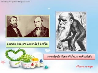 อัลเฟรด วอลเลซ และชาร์ลส์ ดาร์วิน

                                ภาพการ์ตูนล้อเลียนดาร์วินในแมกกาซีนสมัยนั้น

                                                           ฉวีวรรณ นาคบุตร
 