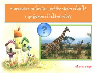 ท่านจะอธิบายเกี่ยวกับการที่ยีราฟคอยาวโดยใช้
        ทฤษฎีของดาร์วินได้อย่างไร?




                                    ฉวีวรรณ นาคบุตร
 
