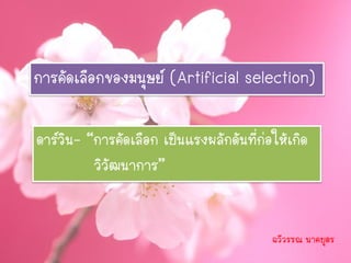 การคัดเลือกของมนุษย์ (Artificial selection)

ดาร์วิน- “การคัดเลือก เป็นแรงผลักดันที่ก่อให้เกิด
          วิวัฒนาการ”


                                          ฉวีวรรณ นาคบุตร
 