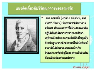 แนวคิดเกี่ยวกับวิวัฒนาการของลามาร์ก
               • ชอง ลามาร์ก (Jean Lamarck, พ.ศ.
                 2287-2372) นักธรรมชาติวิทยาชาว
                 ฝรังเศส เป็นคนแรกๆทีได้นาเสนอแนวคิด
                       ่               ่
                 ปฏิวติเรืองวิวฒนาการจากการศึกษา
                         ั ่ ั
                 เปรียบเทียบลักษณะของสิงมีชีวิตในยุคนั้น
                                         ่
                 กับหลักฐานซากดึกดาบรรพ์ในพิพิธภัณฑ์
                 ลามาร์กได้นาเสนอแนวคิดเกียวกับ
                                           ่
                 วิวฒนาการทีสาคัญในสองประเด็นอันเป็น
                     ั         ่
                 ที่ถกเถียงกันอย่างแพร่หลาย

                                          ฉวีวรรณ นาคบุตร
 