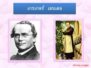 เกรเกอร์ เมนเดล




                  ฉวีวรรณ นาคบุตร
 