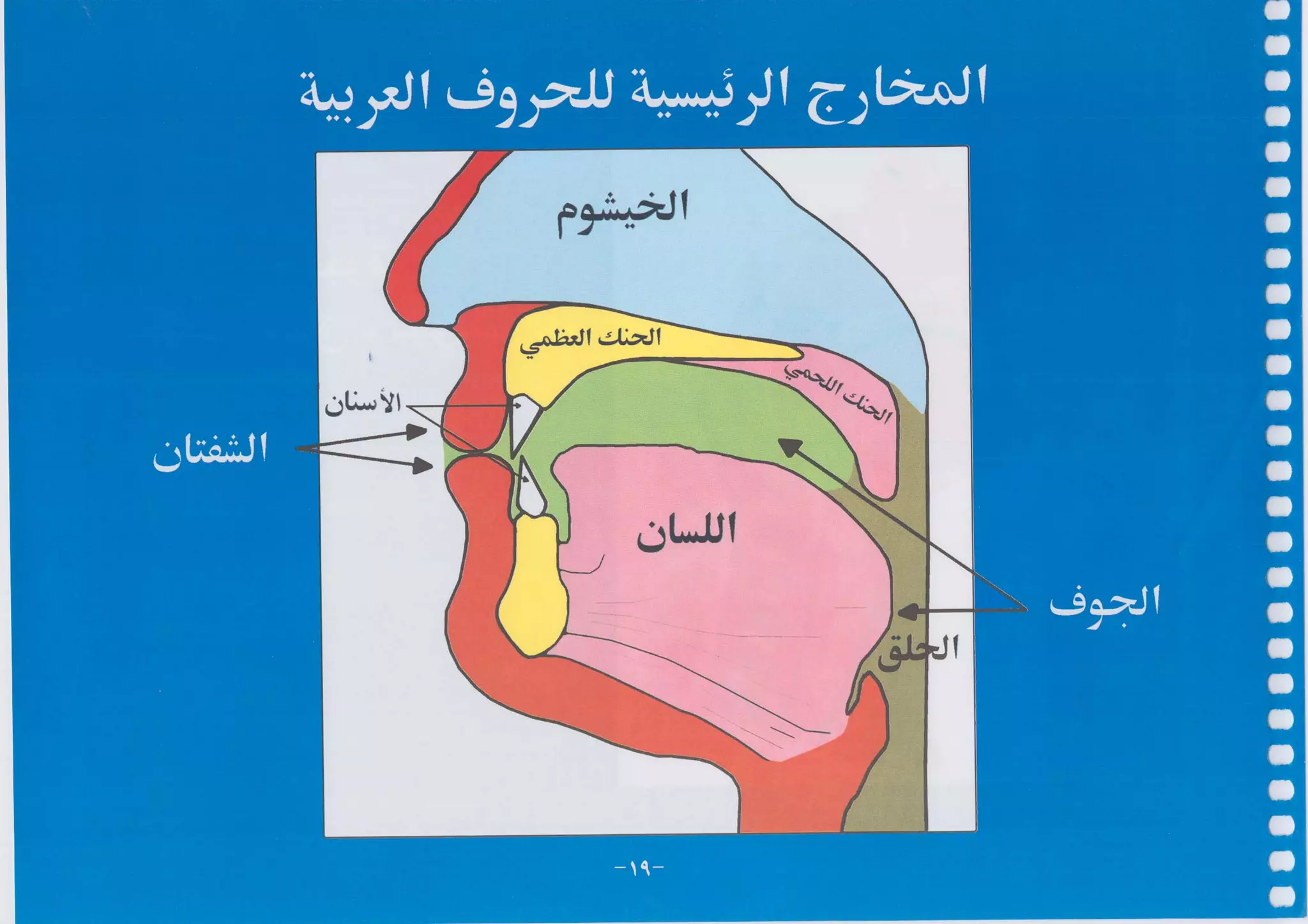 أطلس التجويد