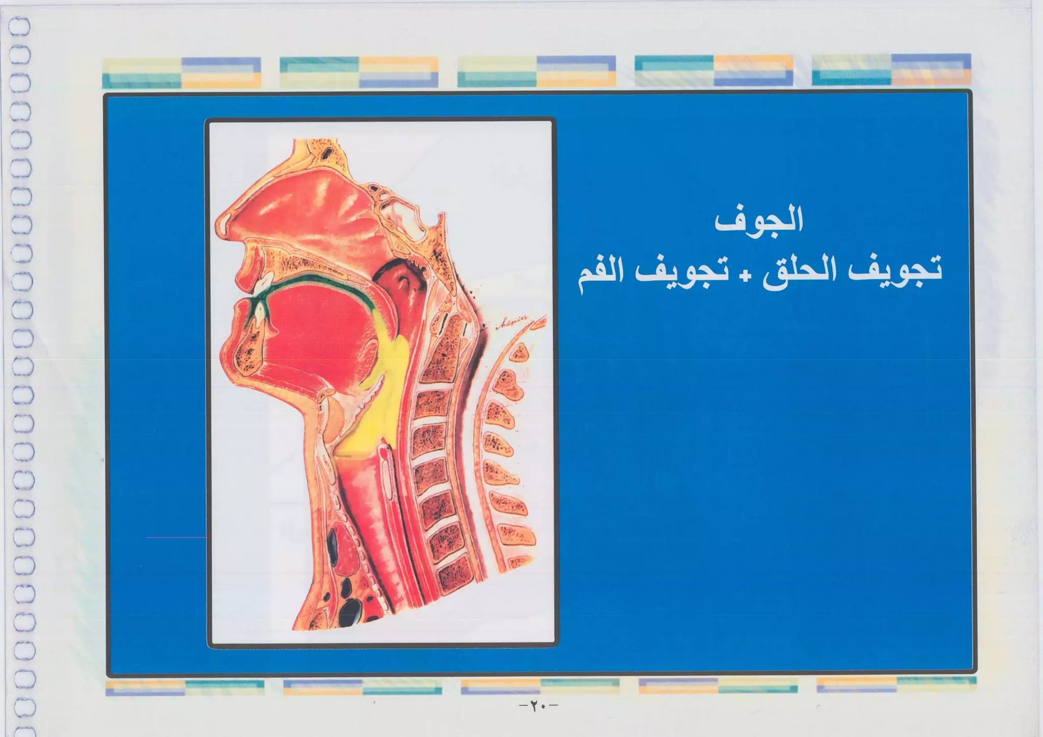 أطلس التجويد