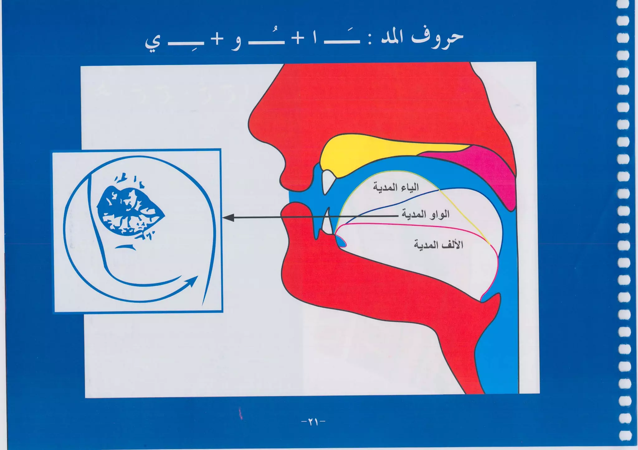 أطلس التجويد