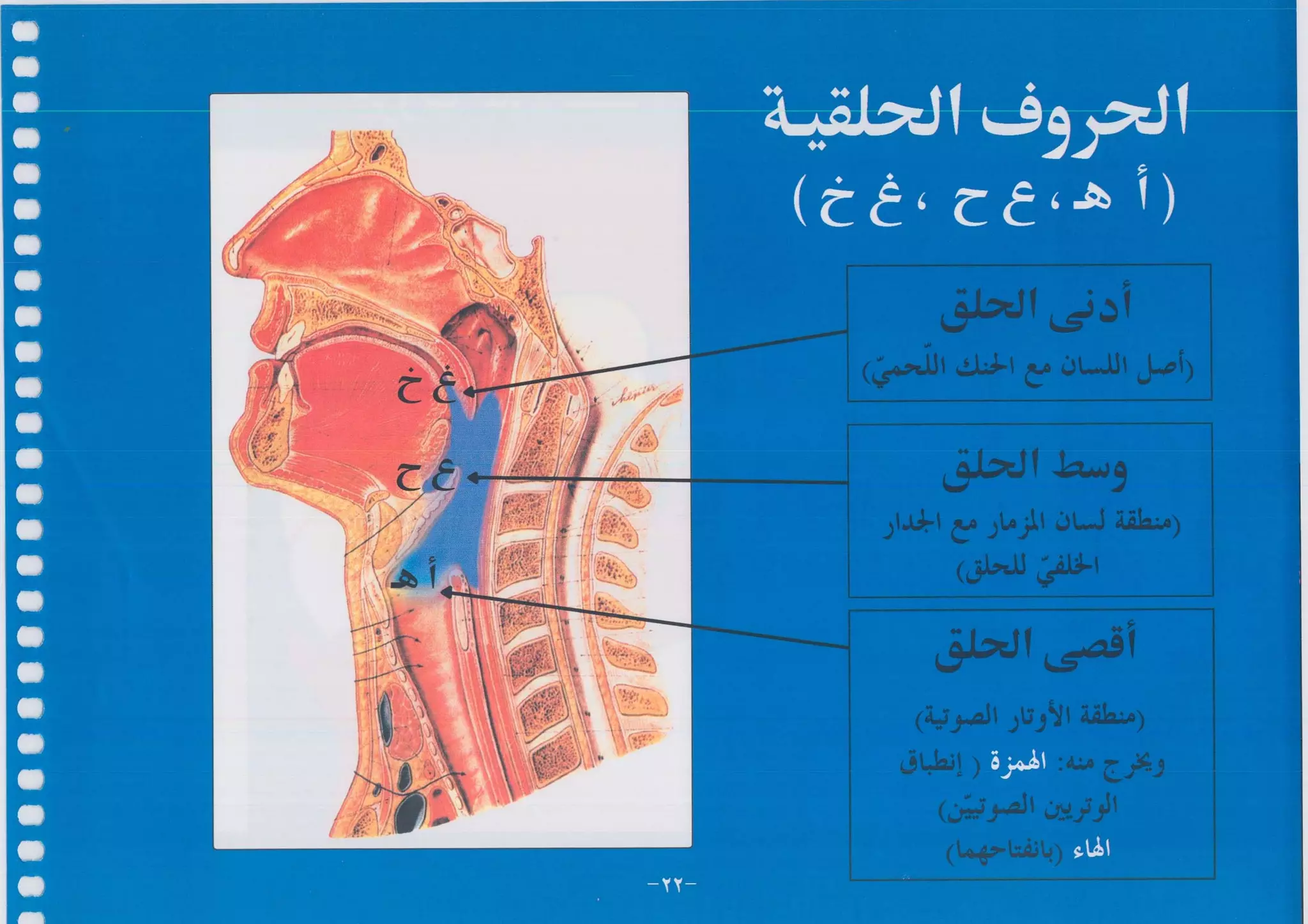 أطلس التجويد