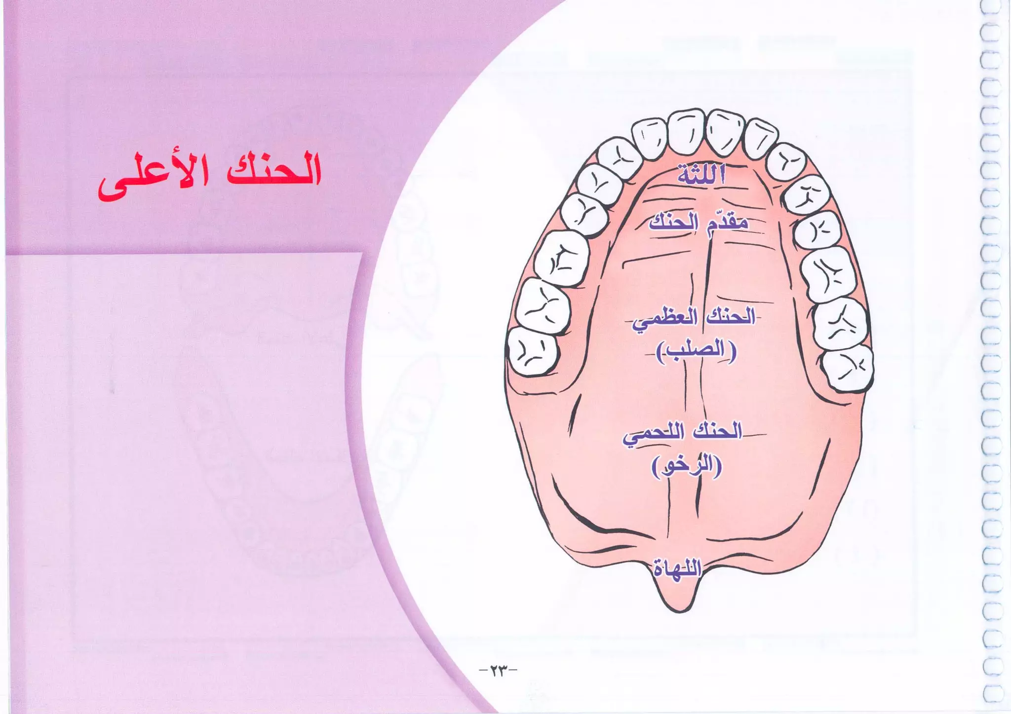 أطلس التجويد