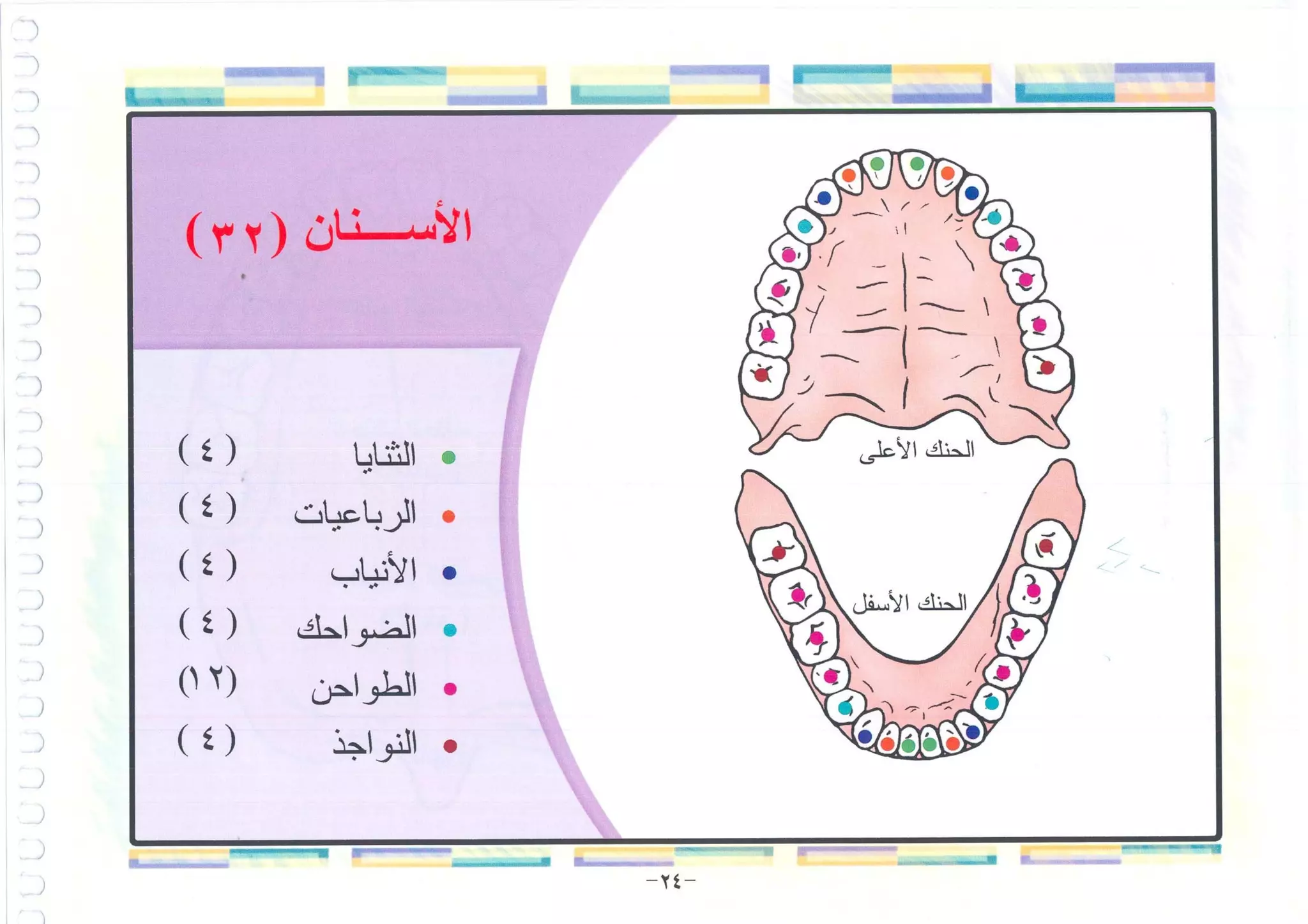 أطلس التجويد