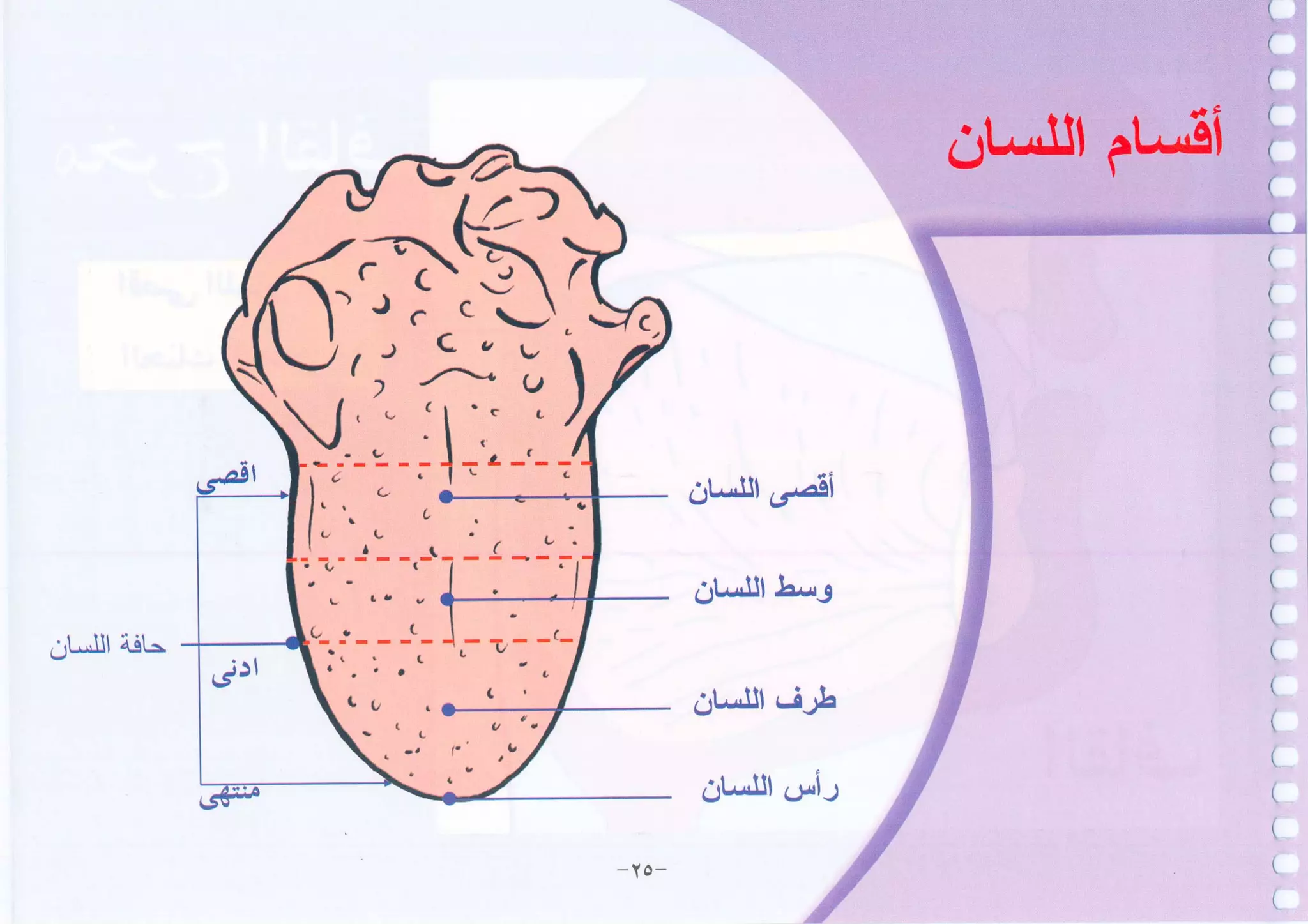أطلس التجويد