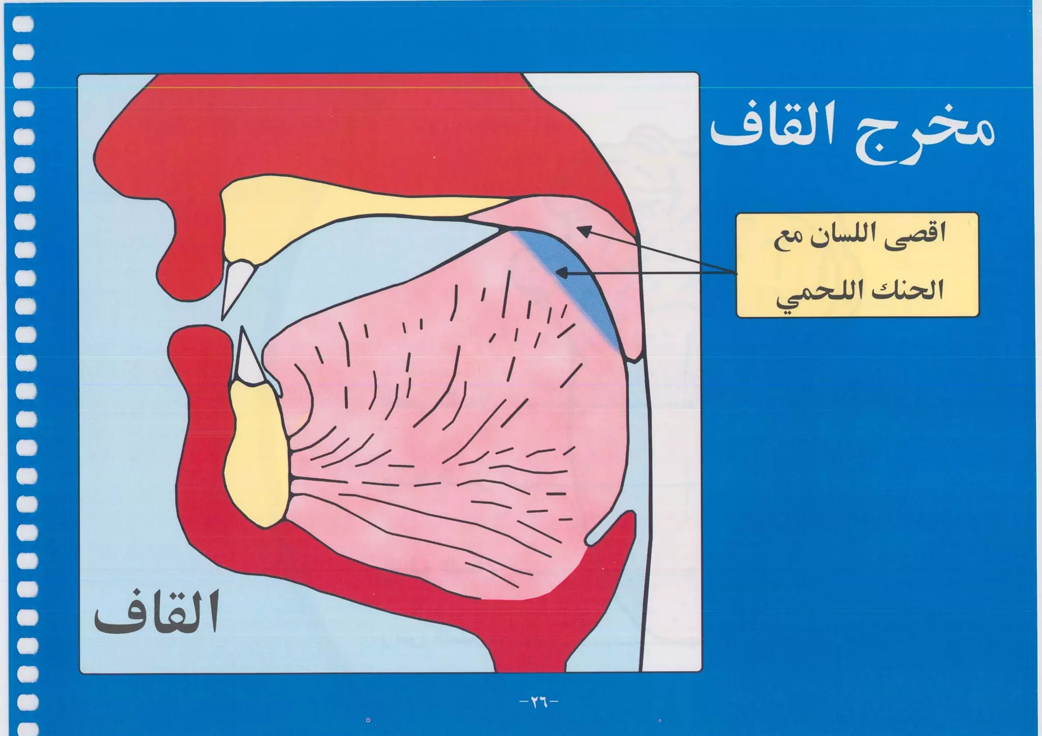 أطلس التجويد