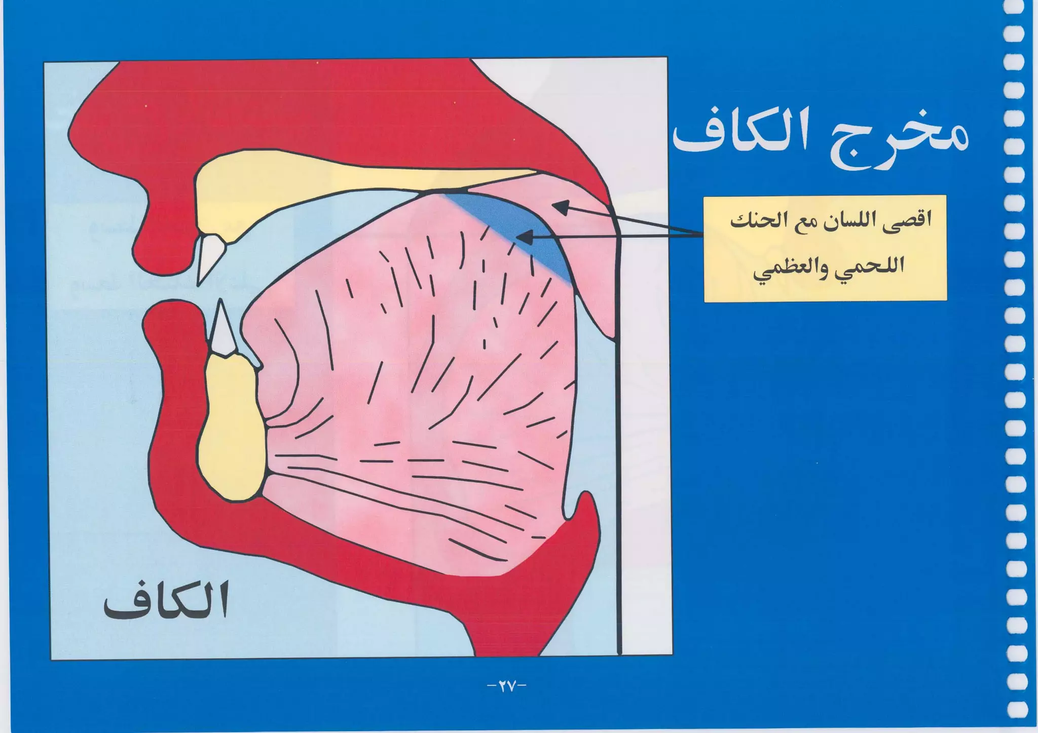 أطلس التجويد