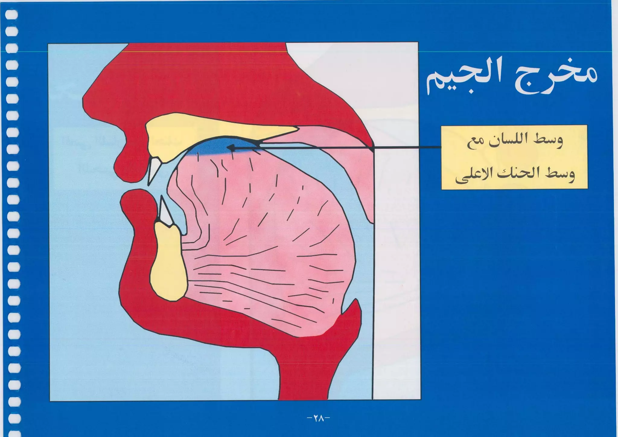 أطلس التجويد