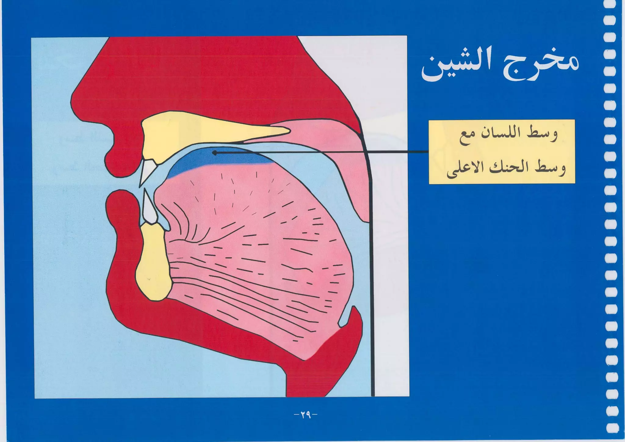 أطلس التجويد