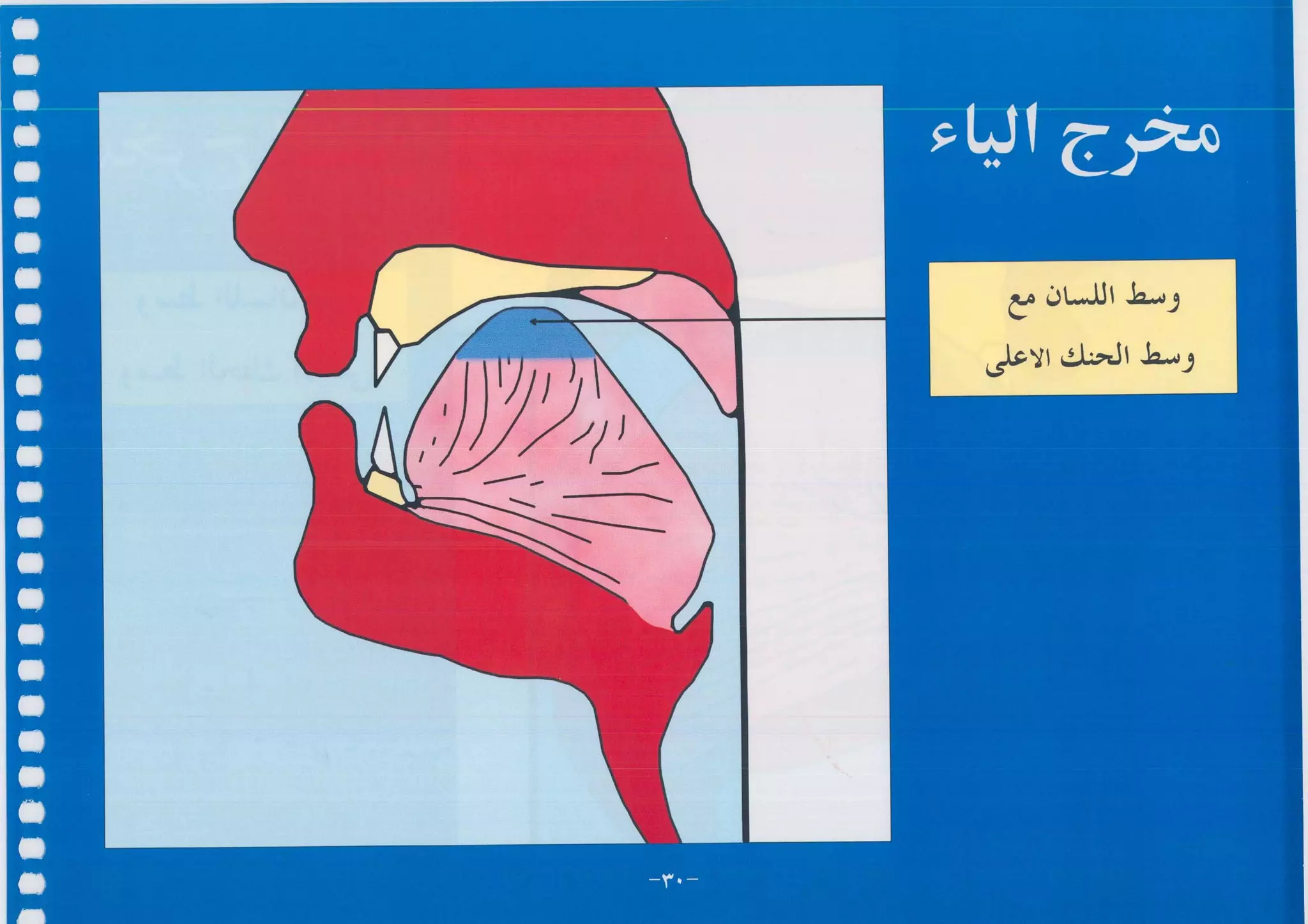 أطلس التجويد