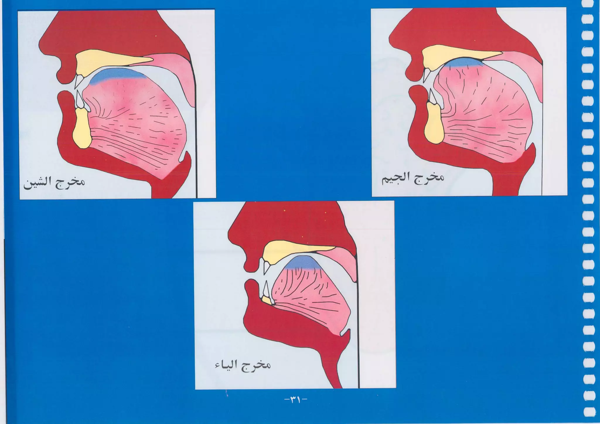 أطلس التجويد