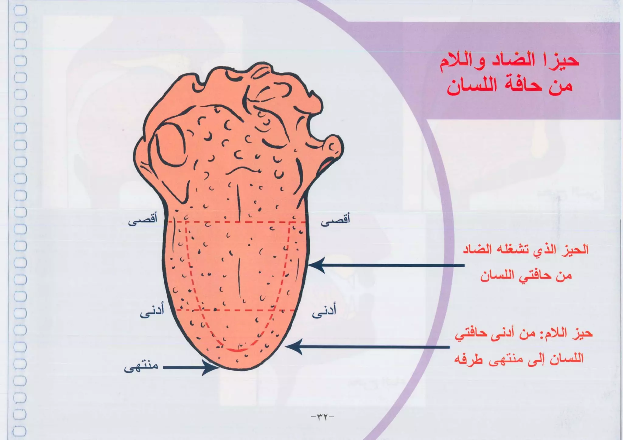 أطلس التجويد