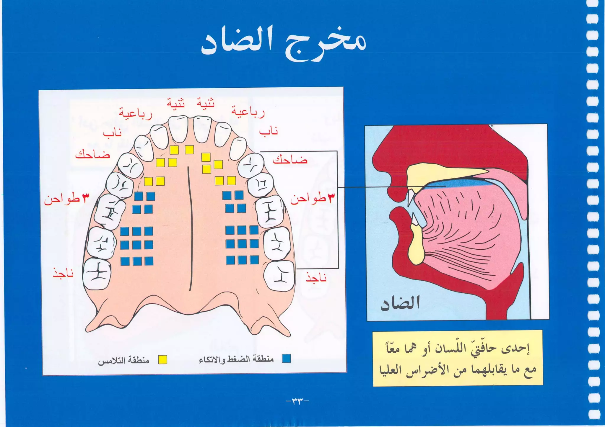 أطلس التجويد