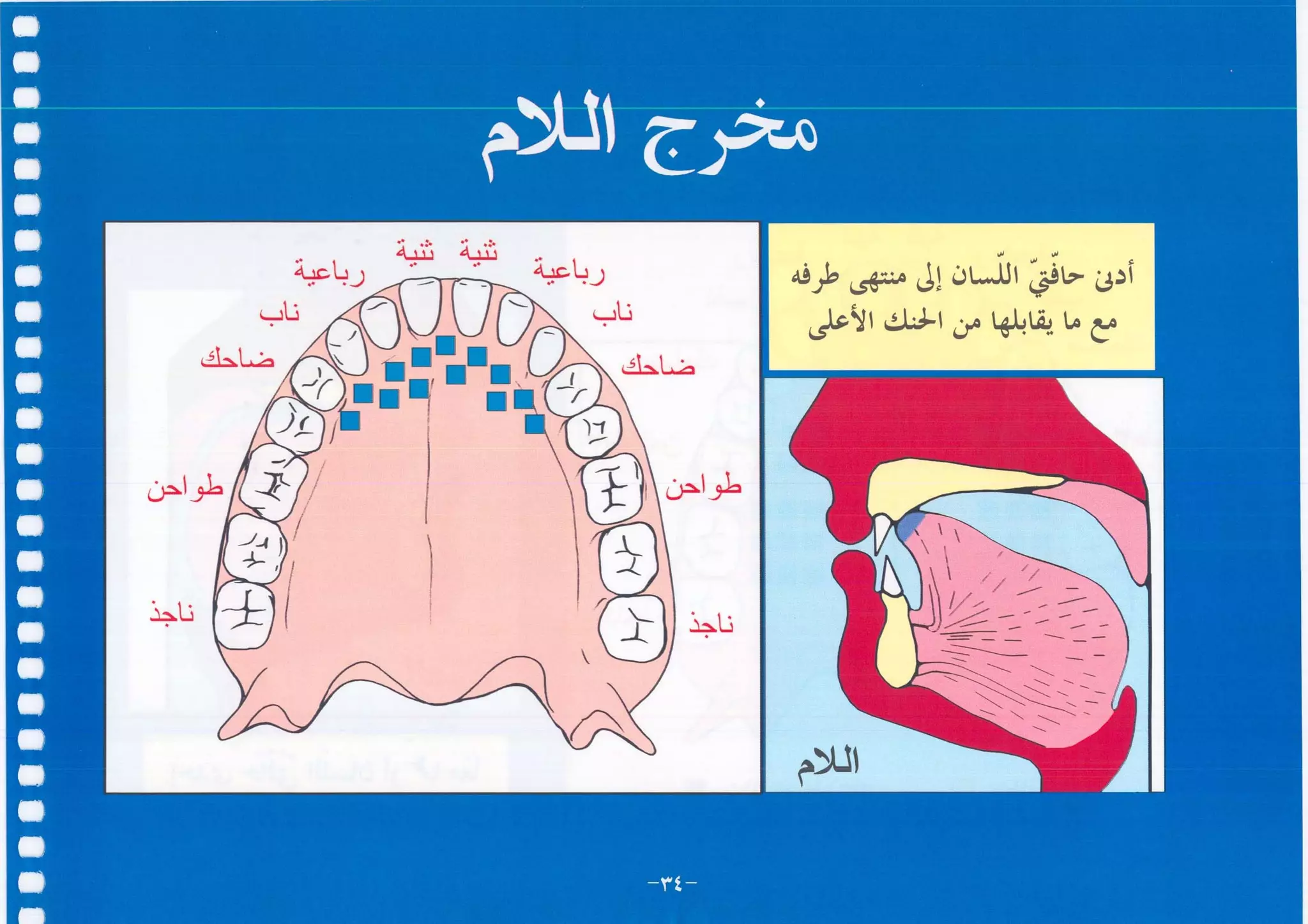أطلس التجويد