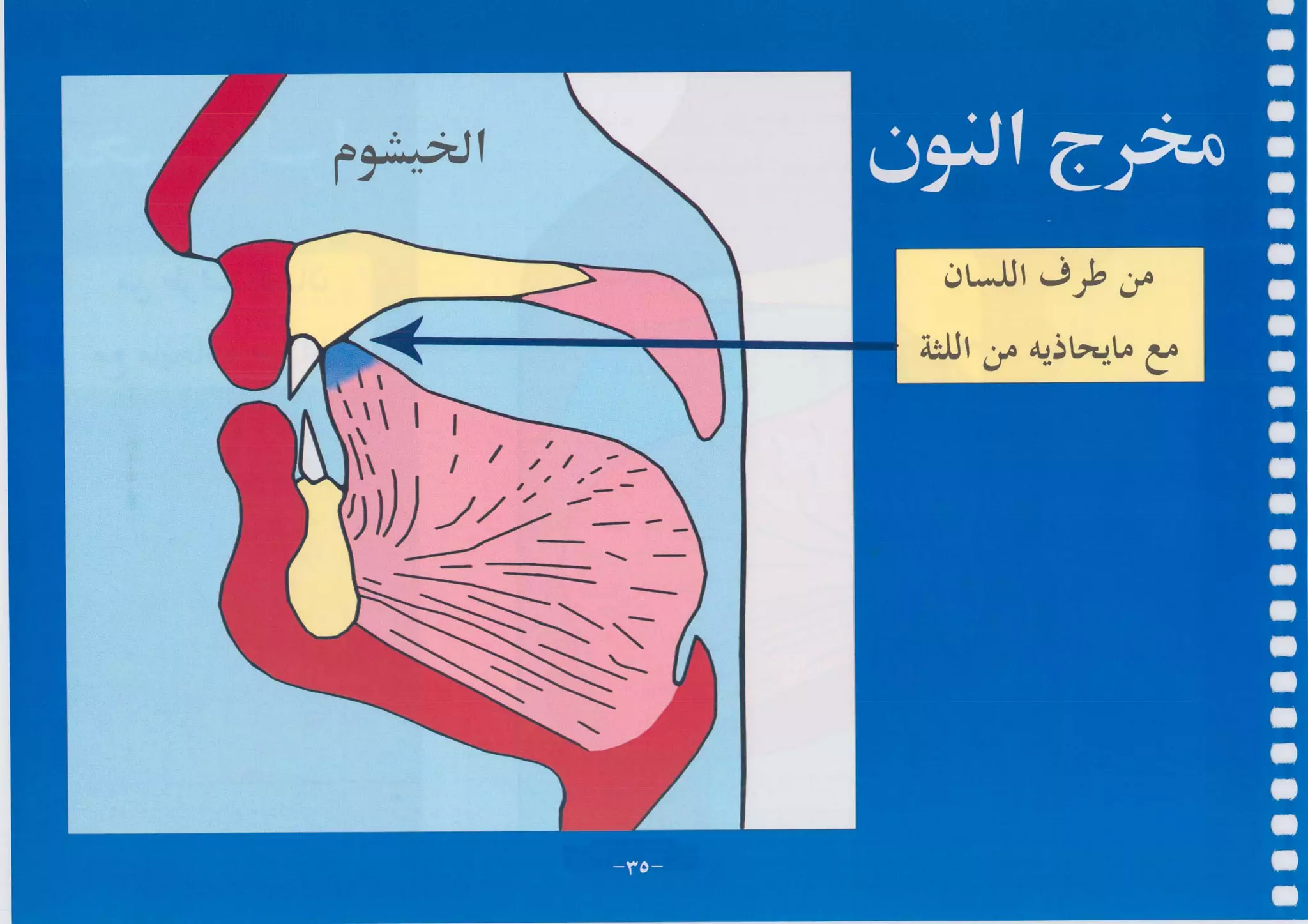 أطلس التجويد