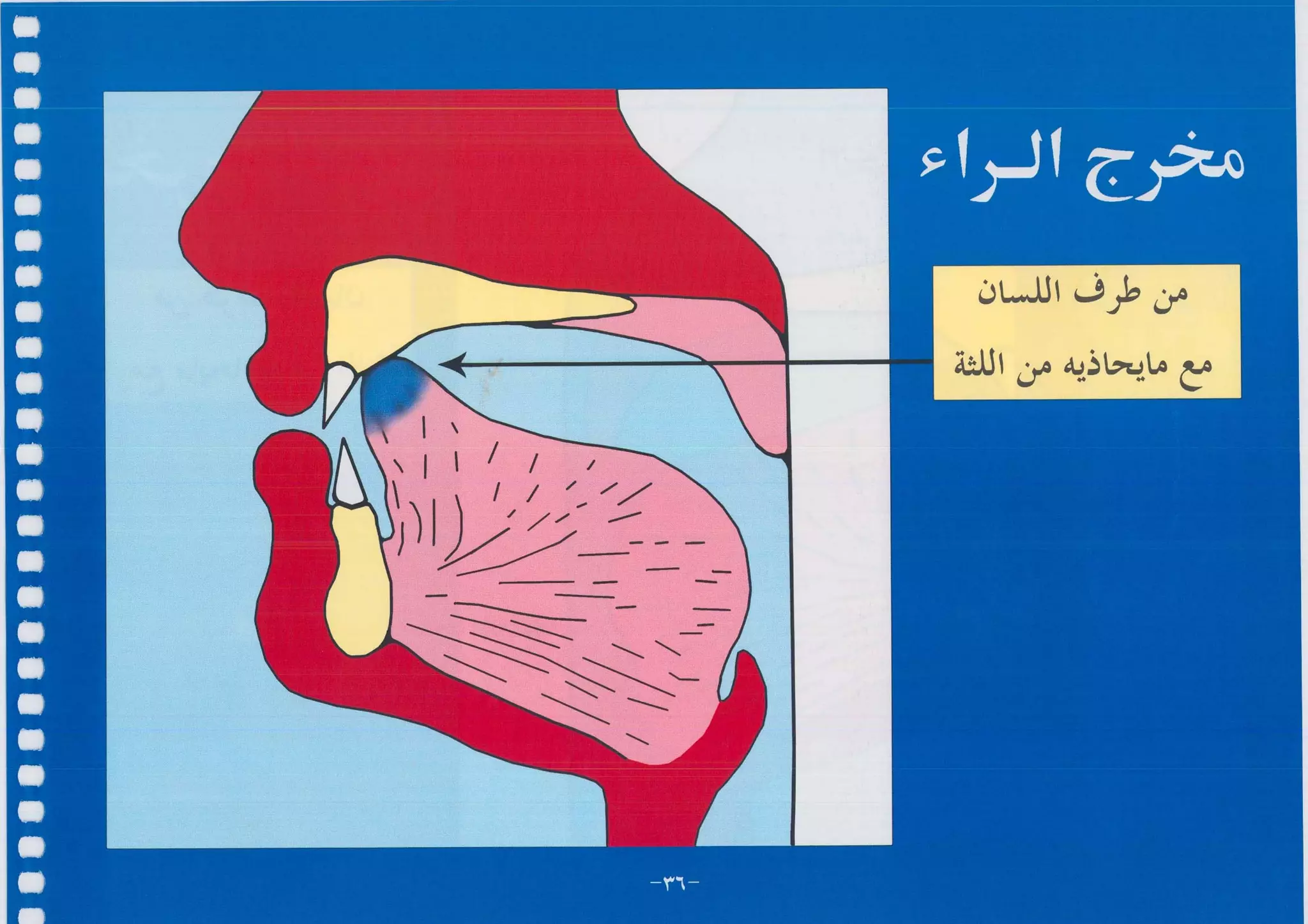 أطلس التجويد