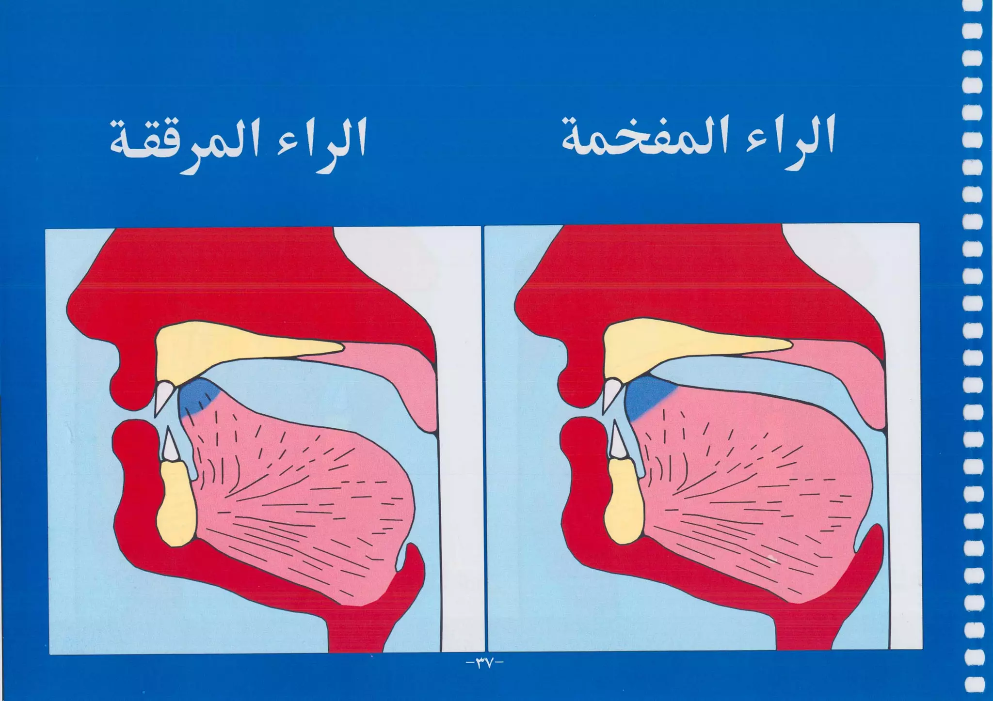 أطلس التجويد