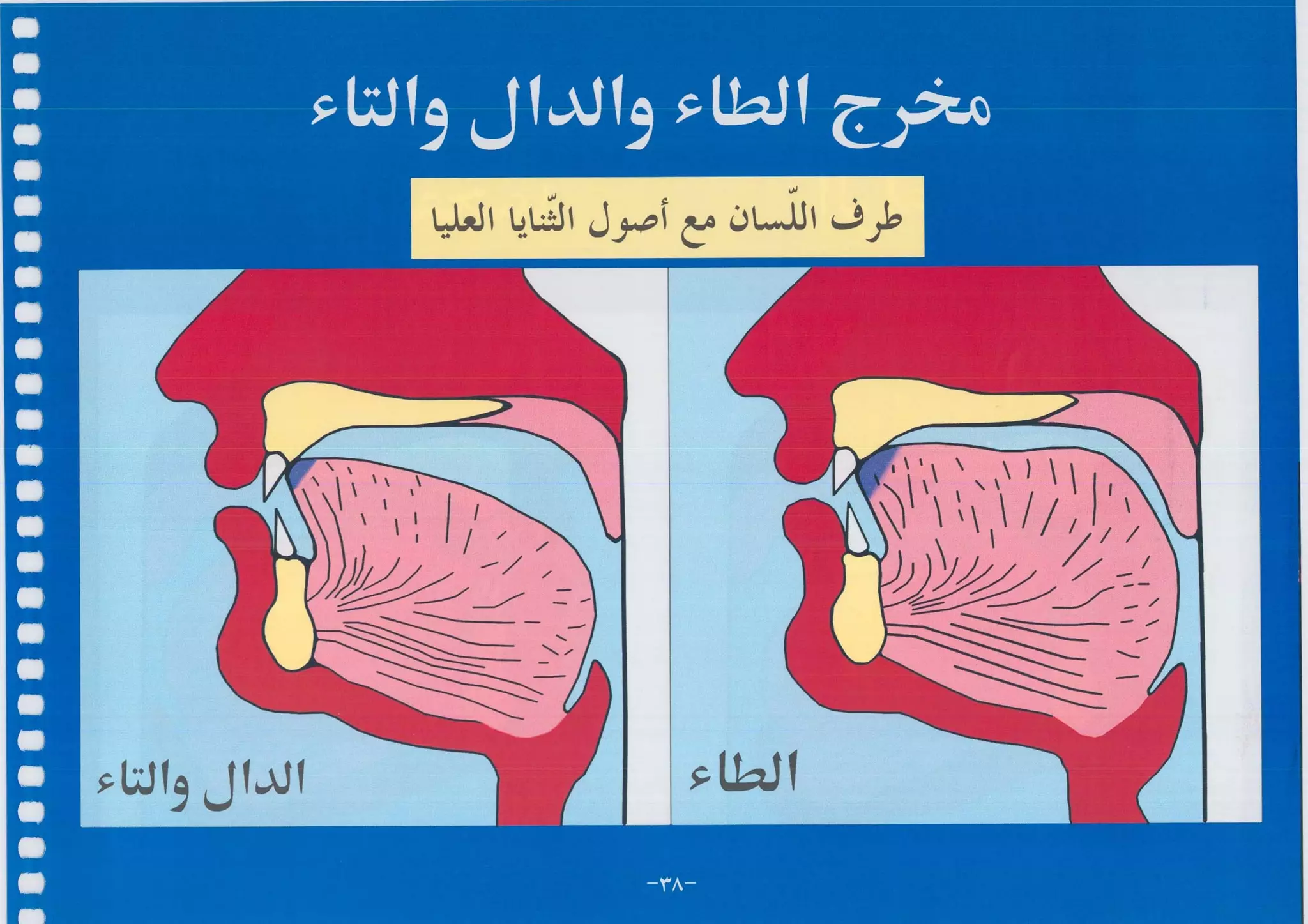 أطلس التجويد