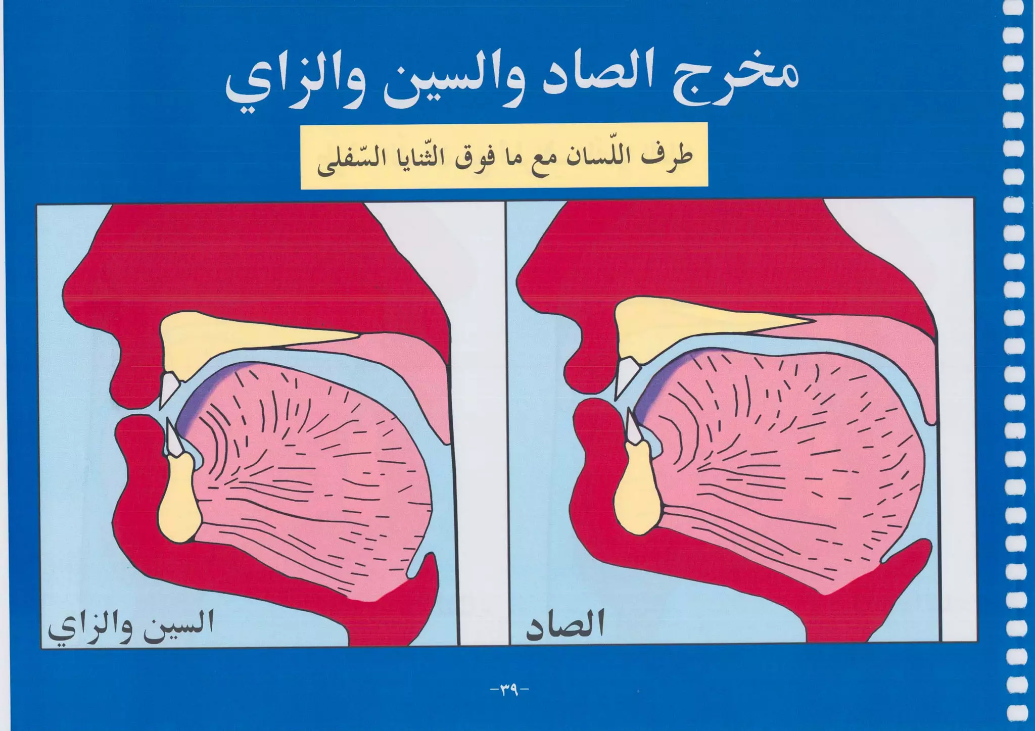 أطلس التجويد