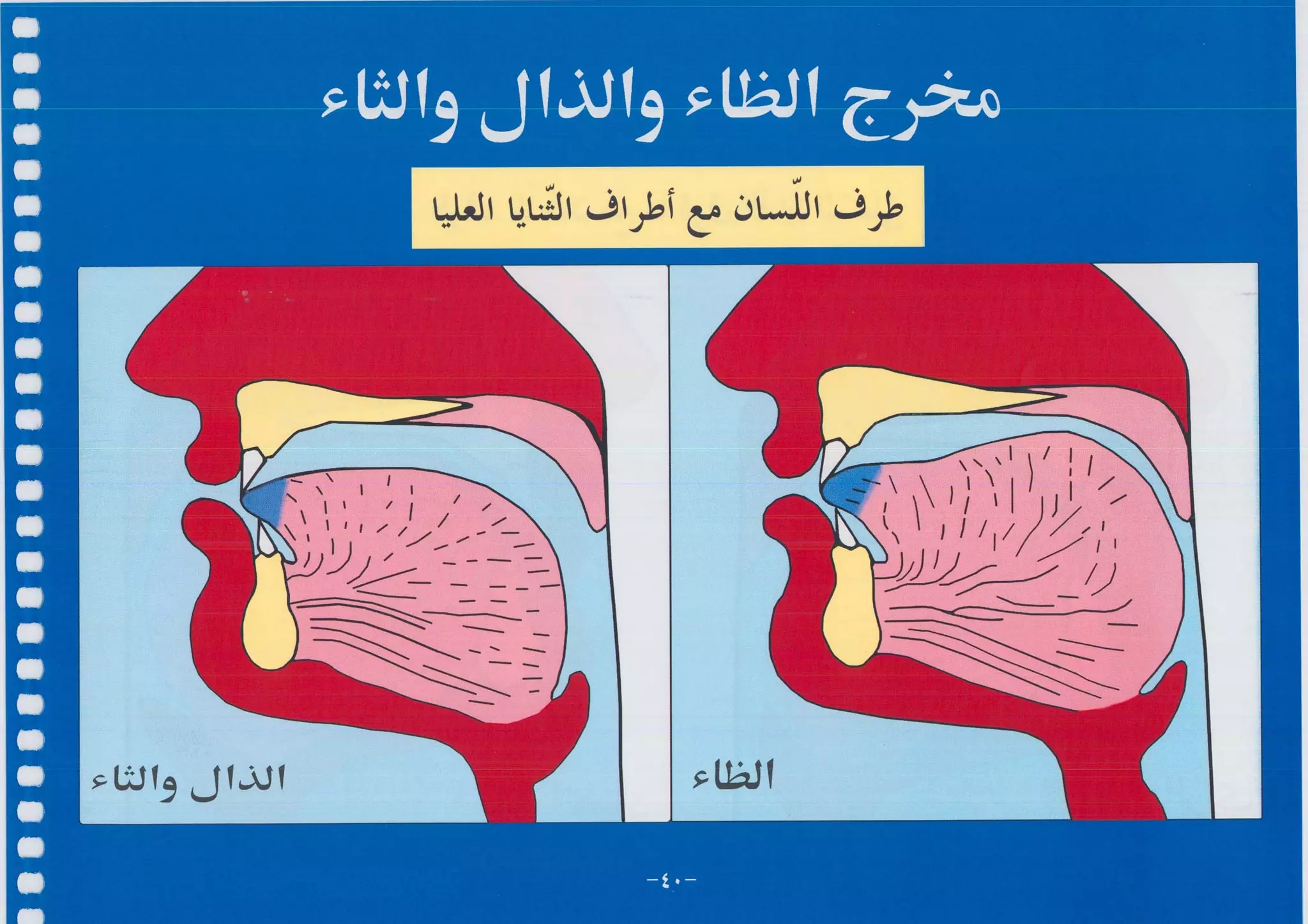 أطلس التجويد