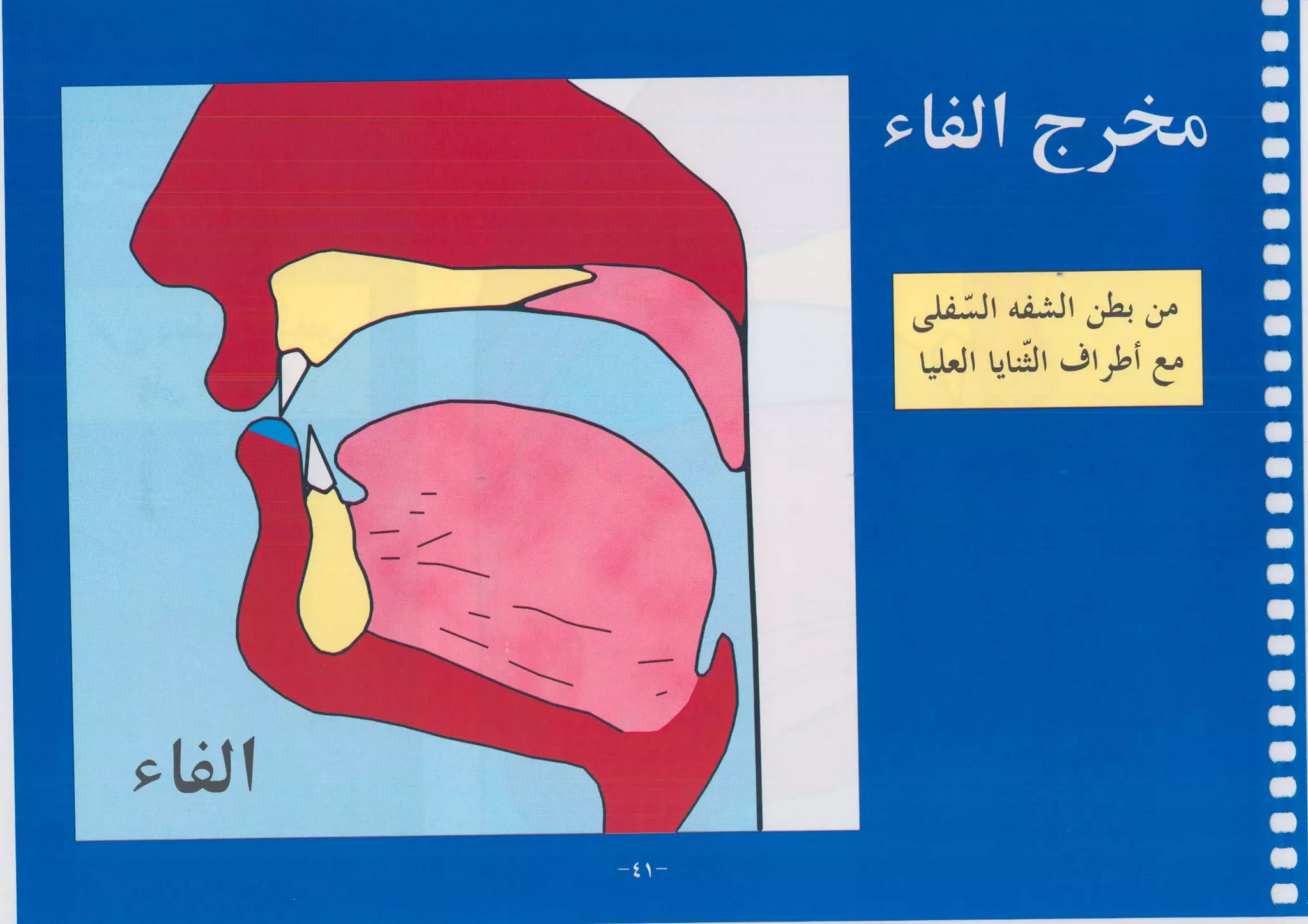 أطلس التجويد