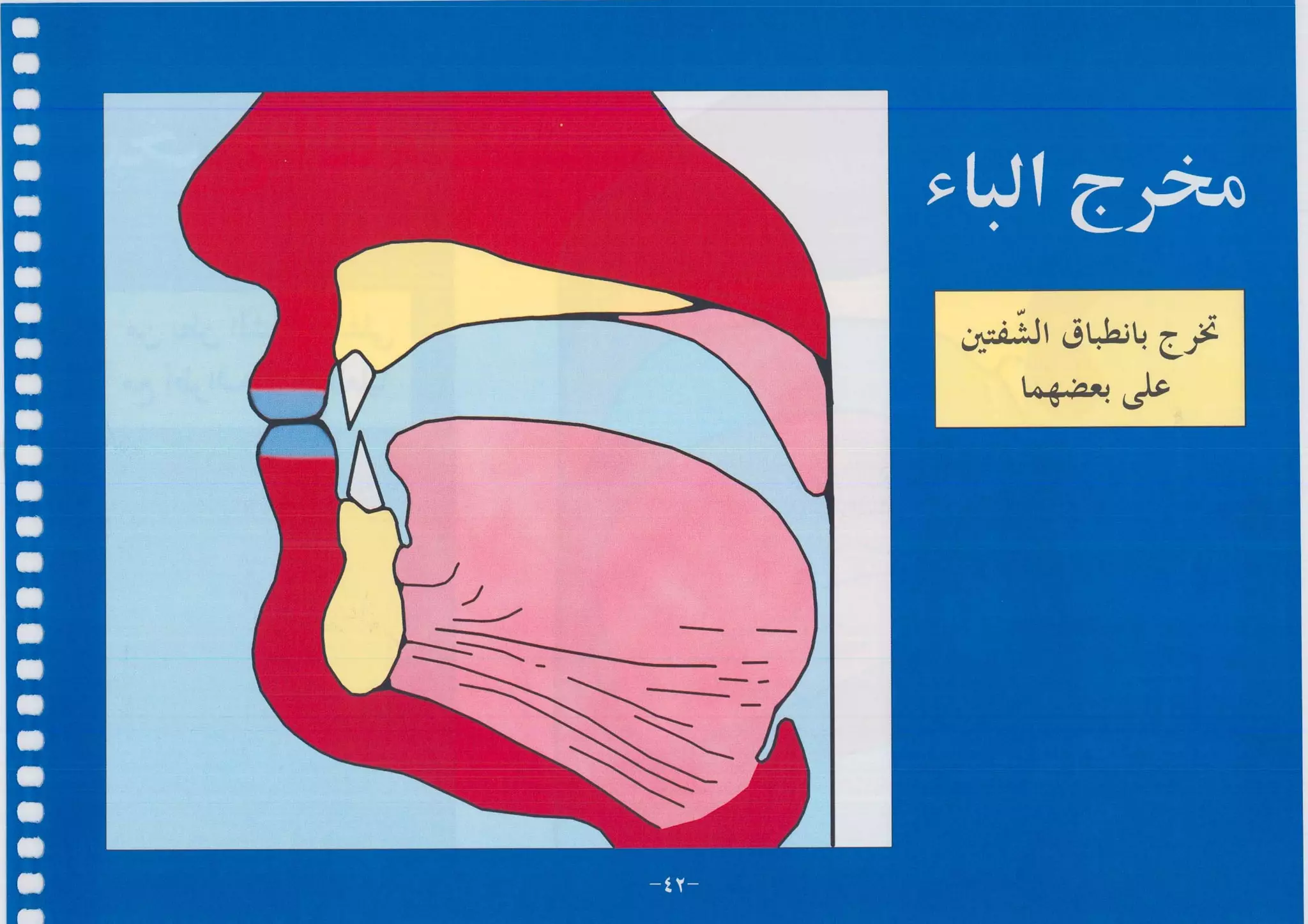 أطلس التجويد